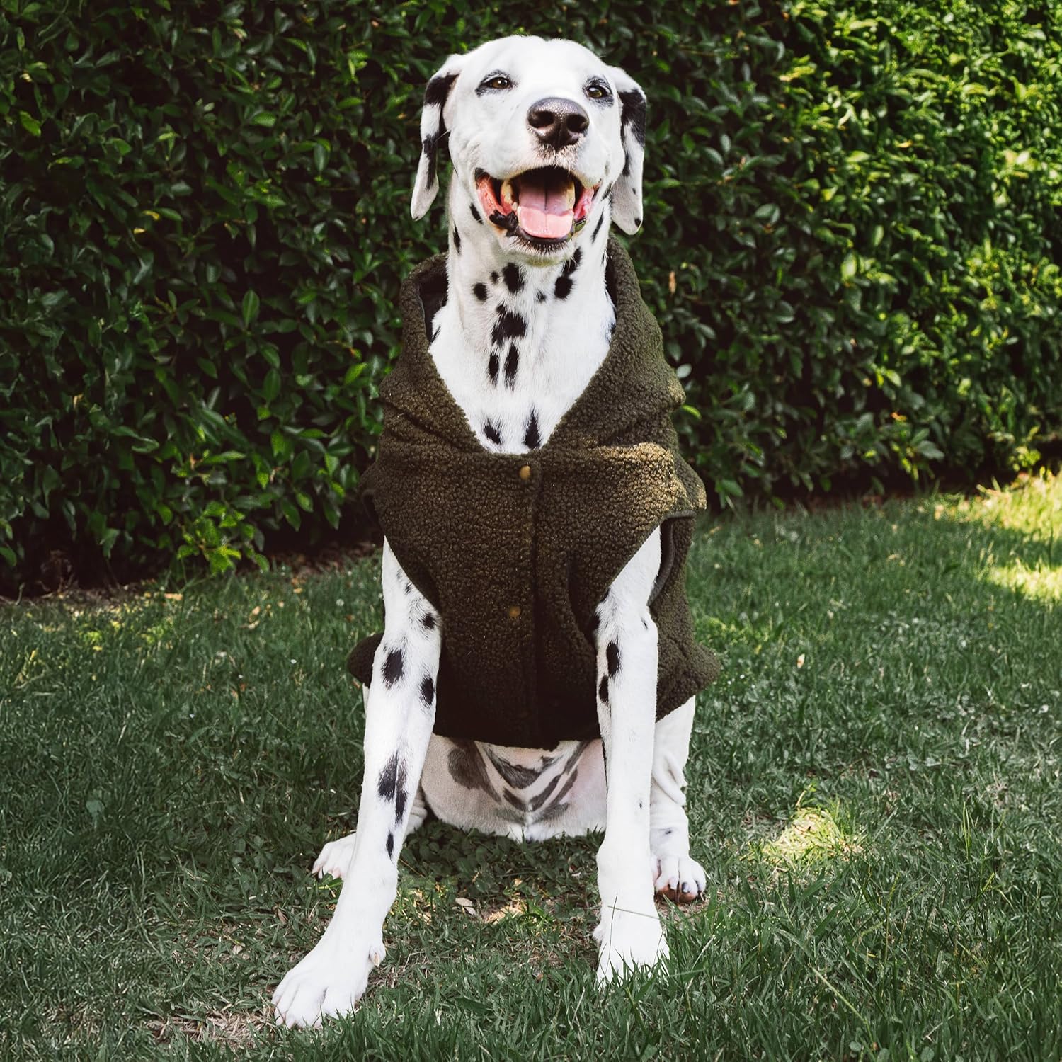 Tuff Pupper Fleece Dog Hoodie Sweater | Teddy Sherpa Outer & Soft Polar Fleece Lining | Adjustable Fit Winter Coat with Hood, Leash Hole, Ribbed Cuffs | for Small Medium Large XL XXL Dogs (Olive, XL)