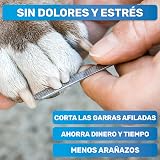 Ver la foto 4