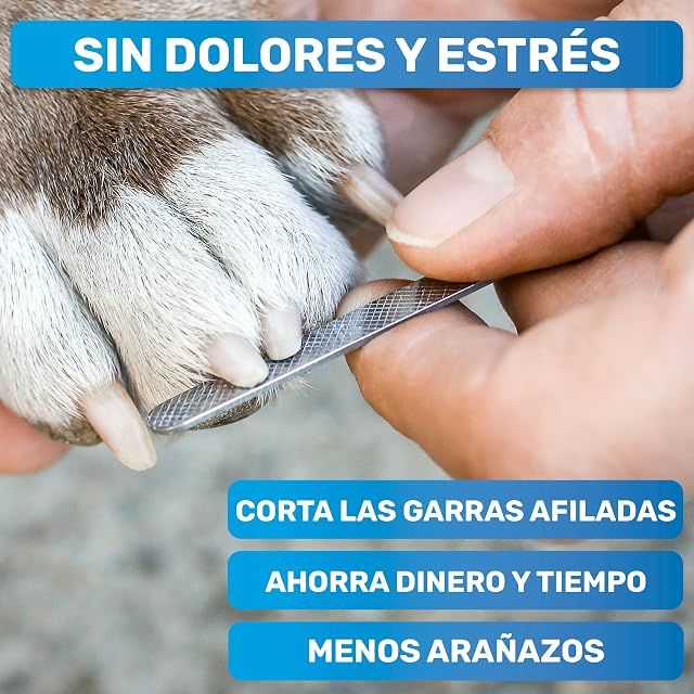 Foto 4 de 7 de BluePet Cortauñas con Protector, Corte uñas Perro y Gato, Tijeras seguras