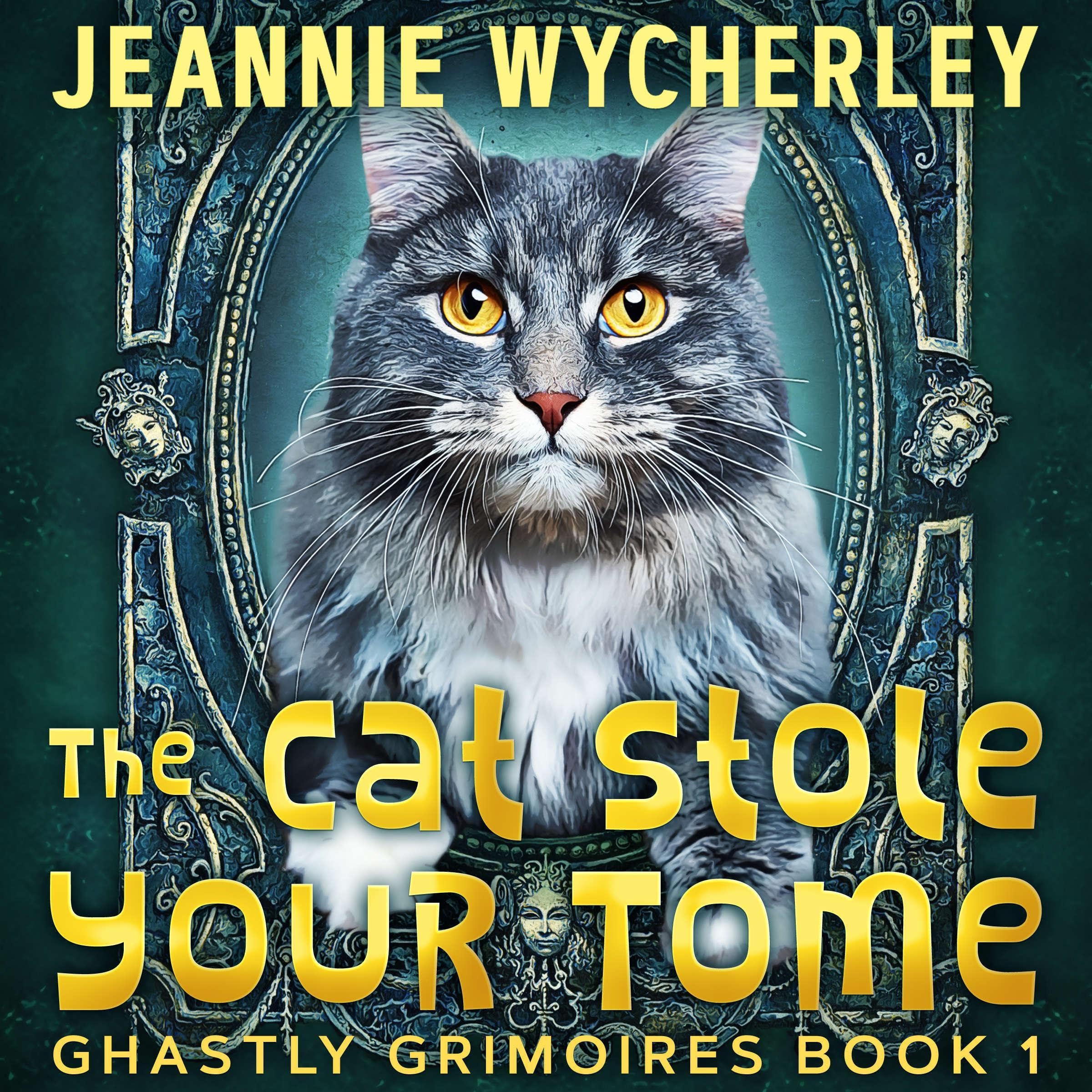 Cover art for The Cat Stole Your Tome