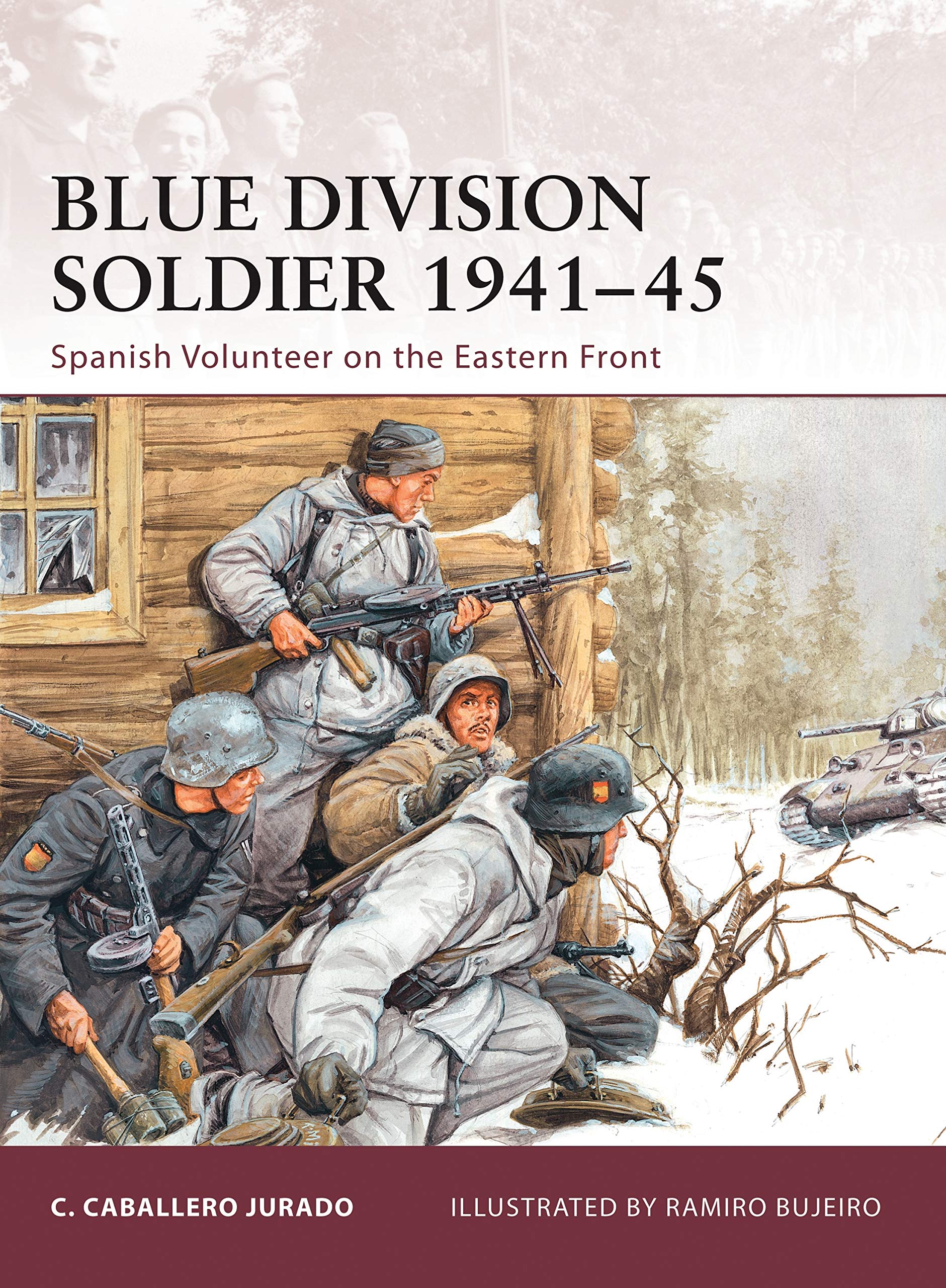 Blue Division Soldier 1941-45 (Warrior)