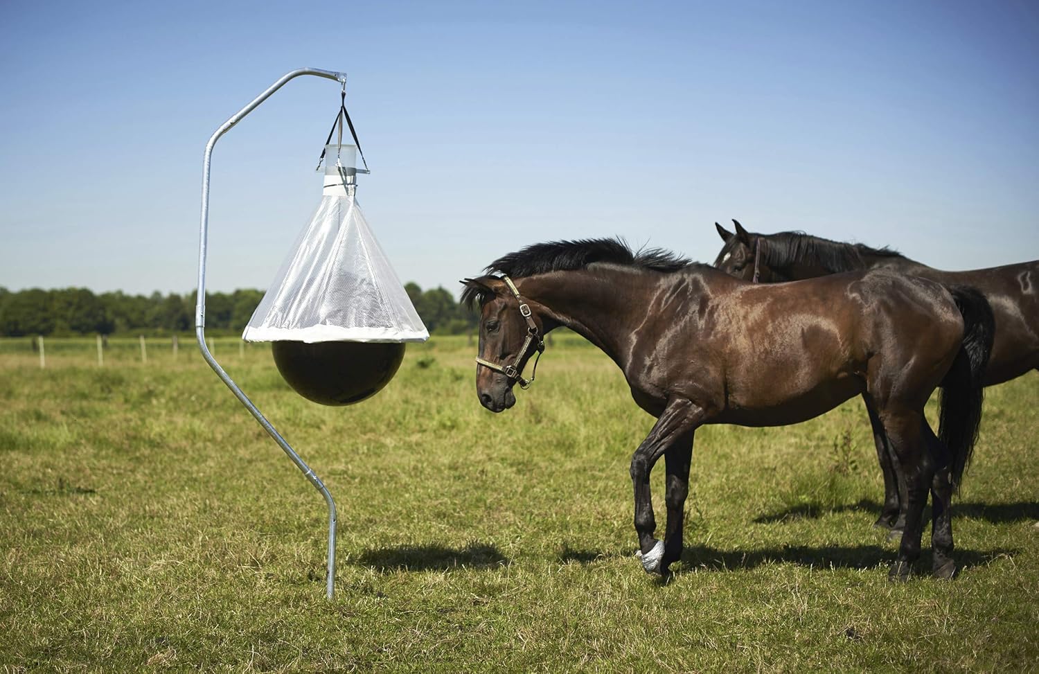 Kerbl Taon-X 323520 Brake Trap