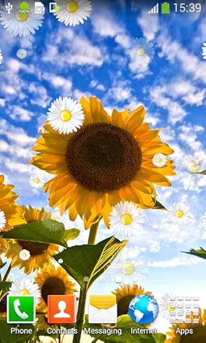 Sunflower Live Wallpapers