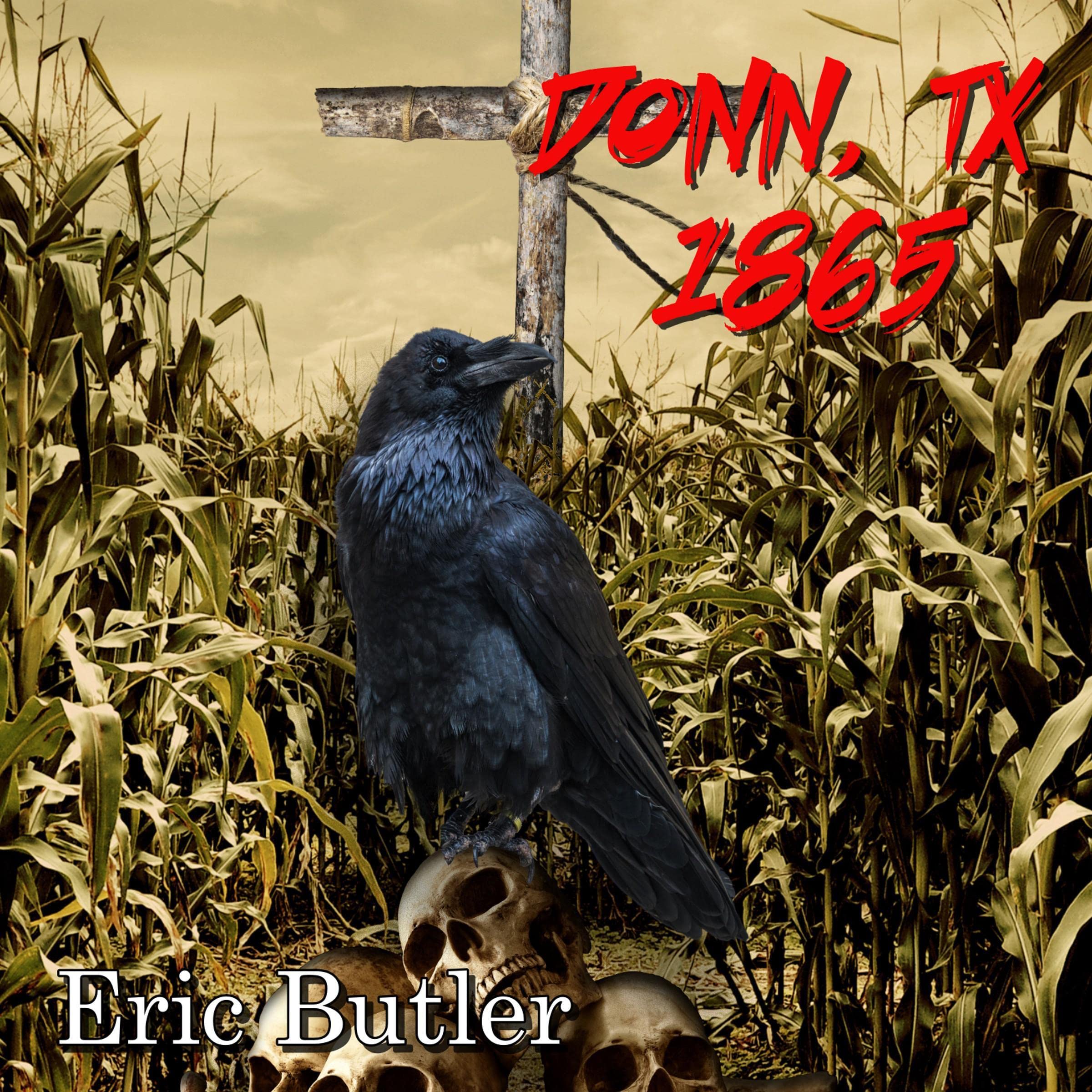 Cover art for Donn, TX 1865