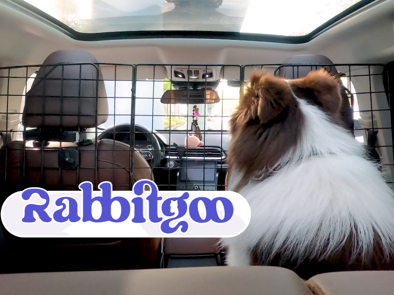 Cage Chien Rabbitgoo Dog Car Barrier For SUVs, Adjustable Large