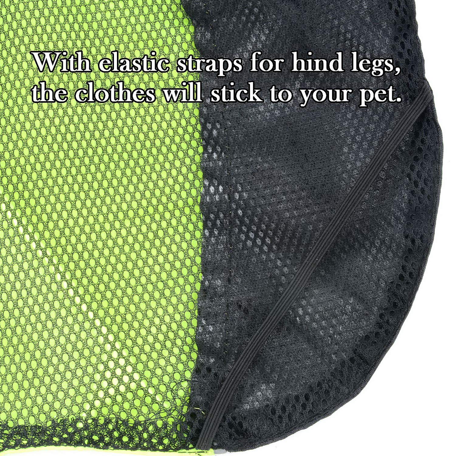Zunea Manteau Imperméable pour Petit Chien Chat Réfléchissant Veste de sécurité Coupe-Vent Légère Doublée en Maille pour Chiot Vêtements de Chasse/Randonnée pour Les Jours Pluie Vert M