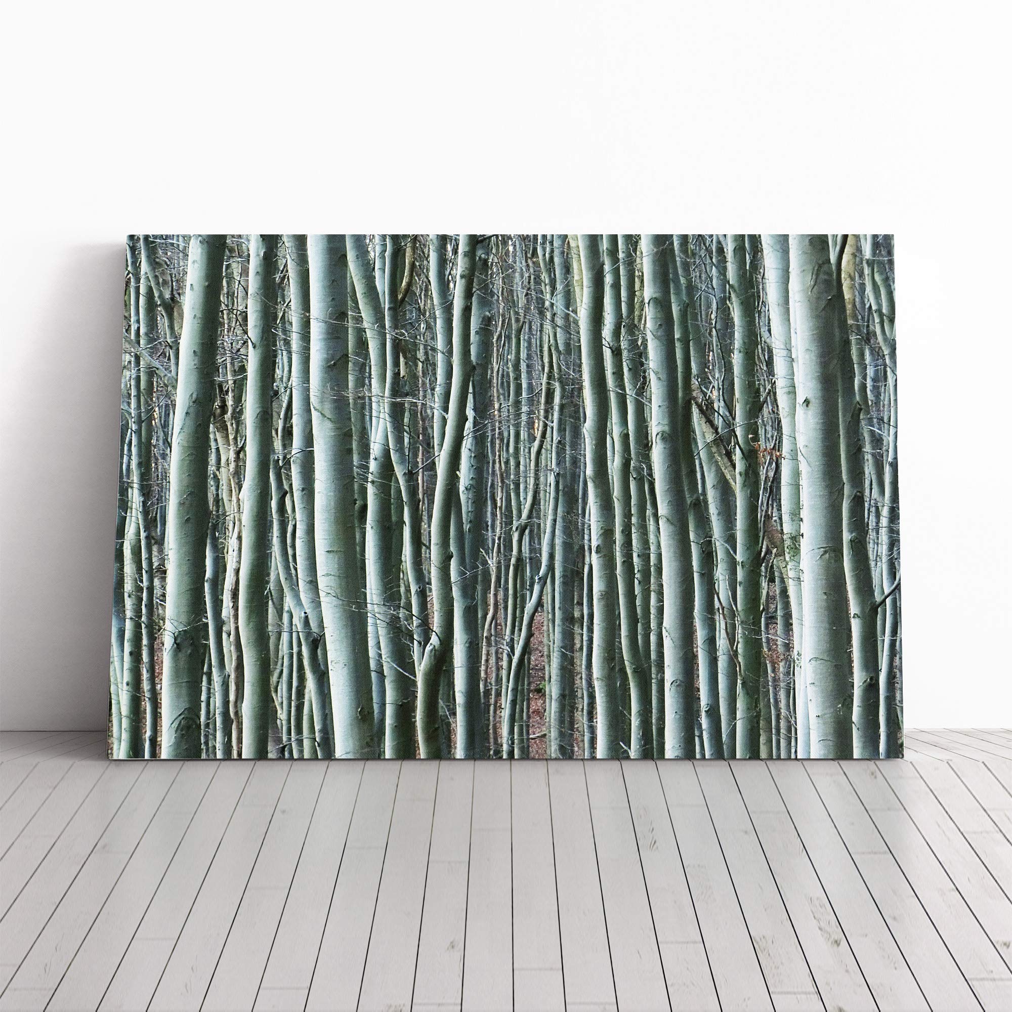 Forest Woodland (1) Canvas Print | Gallery Wrapped 30mm Frame Wall Art | 30x20 inches | Ready to Hang | Modern Landscape Picture | Living Room Bedroom Lounge Office
