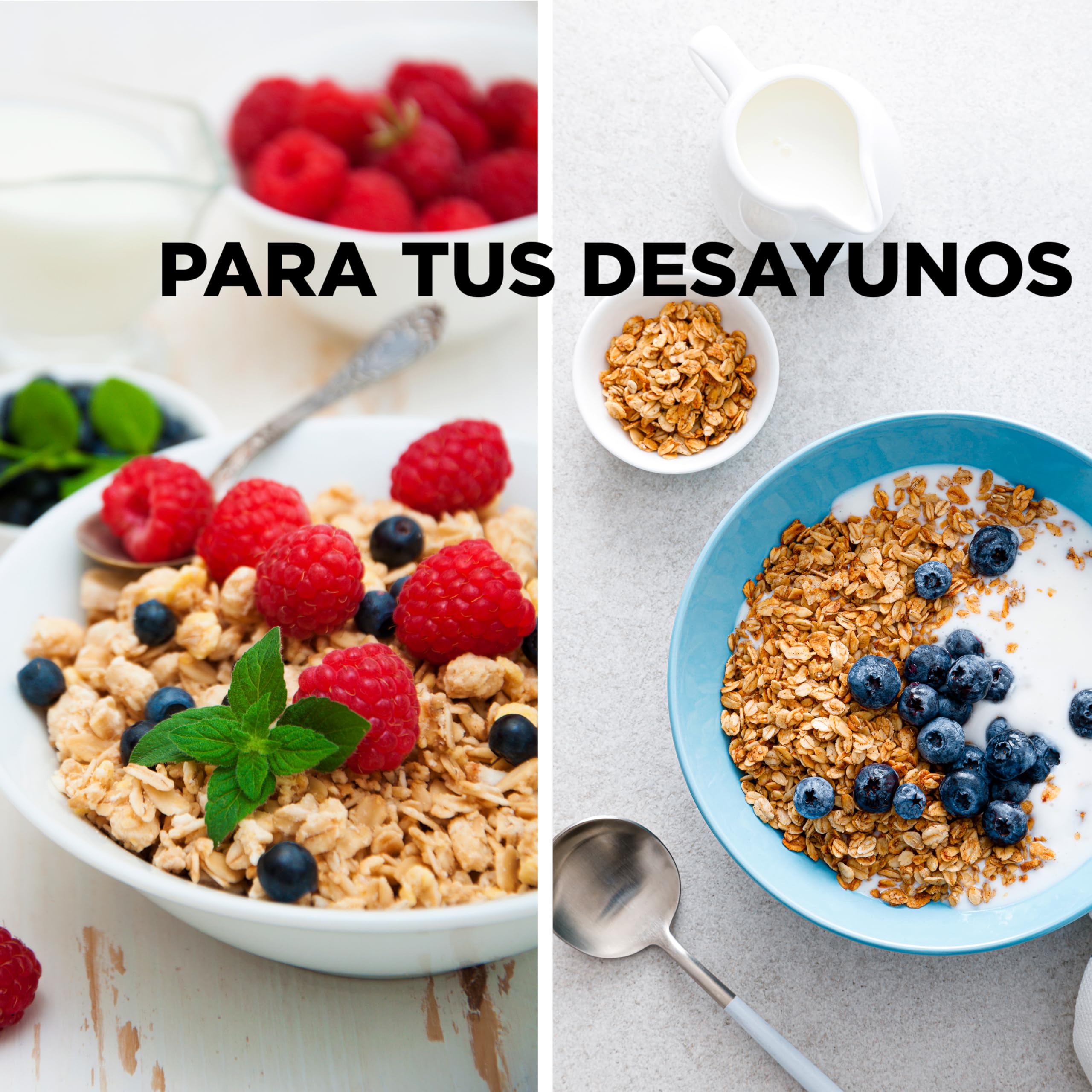 Drasanvi SPORT LIVE Copos de Avena Gruesos Integrales BIO | Fuente natural de proteínas y Vitaminas del grupo B y E | Alto contenido en Fibra | 1kg
