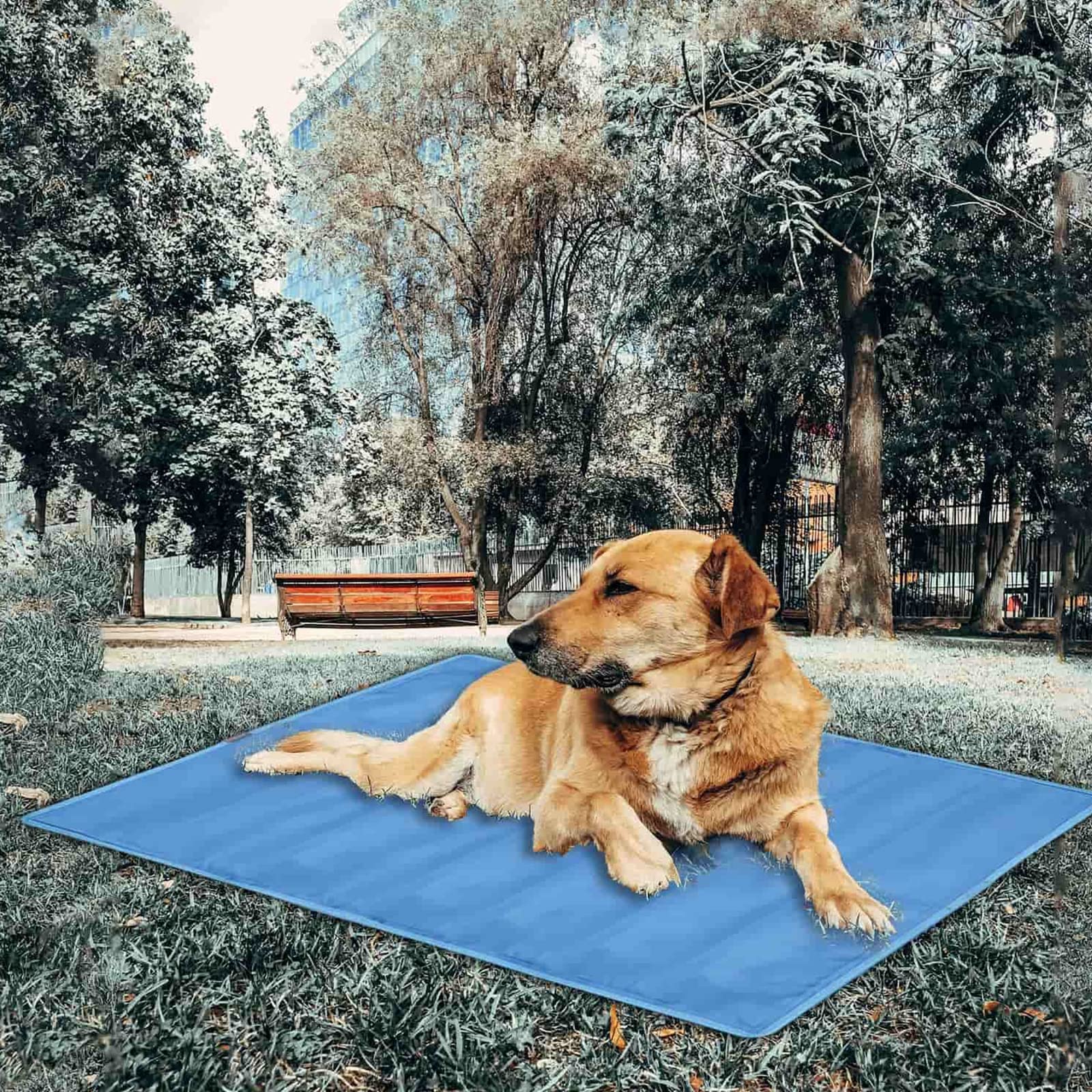 Tapis Rafraichissant Chien, Tapis De Gel Non-Toxique Auto-Refroidissant, Refroidissement pour Animaux,Tapis pour L'été,Tapis Fraicheur Chien pour Les Chaudes Journées D'été