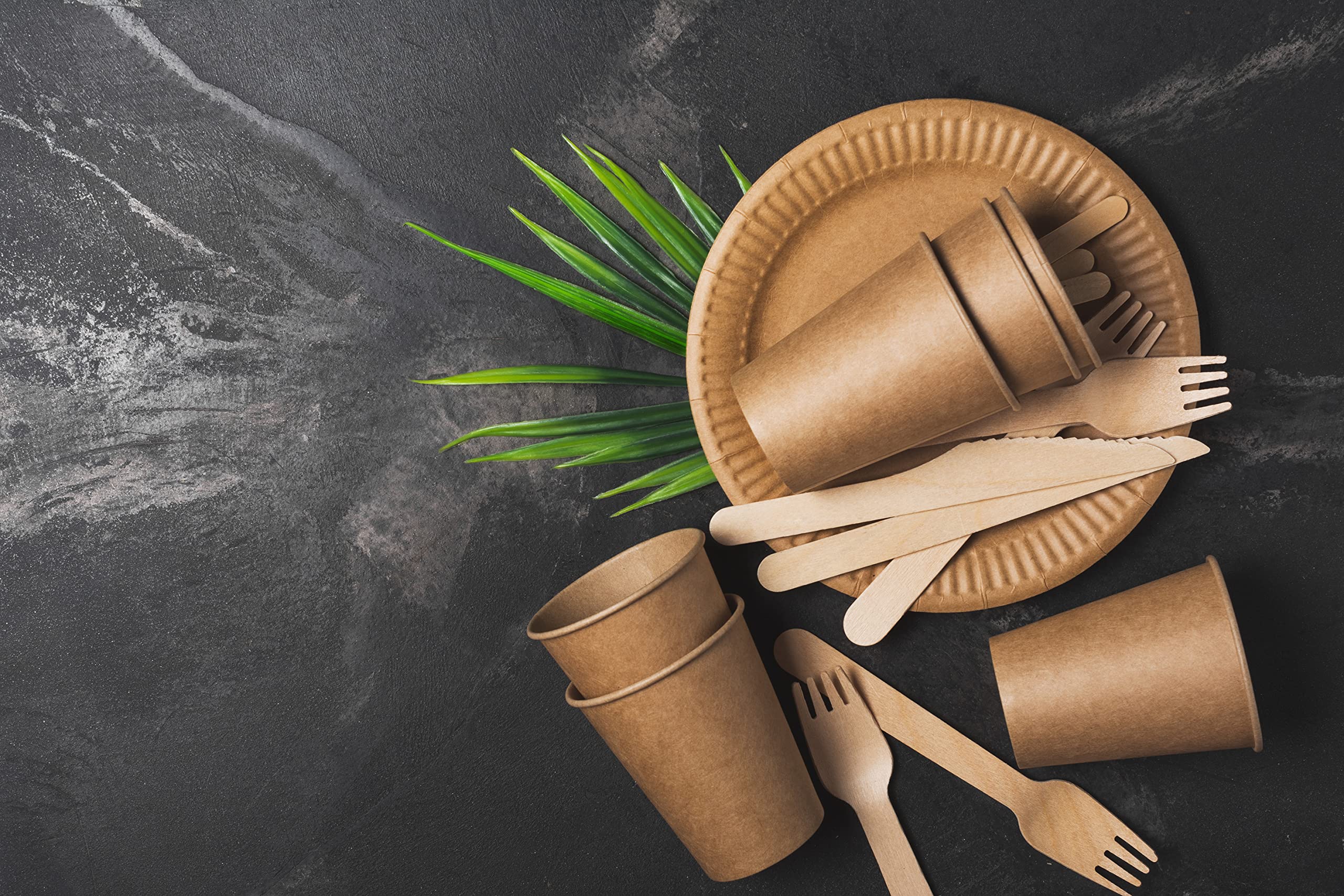 Posate In Legno Usa E Getta - Biodegradabili, 100 Forchette, Per Feste E Picnic - Foto 8