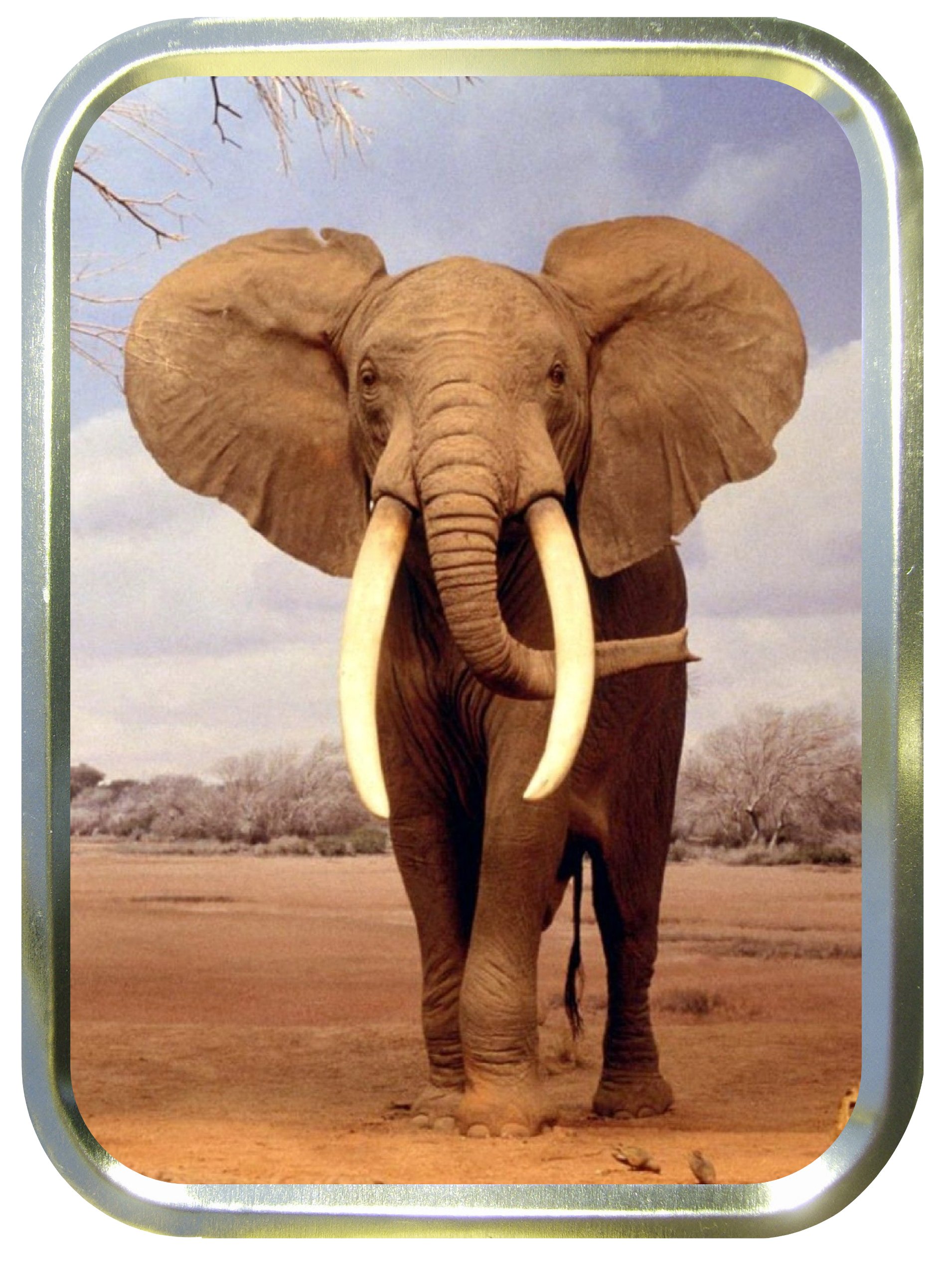 GREY ELEPHANT 2oz GOLD TOBACCO TIN,BACCY TIN,PILL BOX, STASH CAN,STORAGE TIN  : Amazon.co.uk: Home & Kitchen