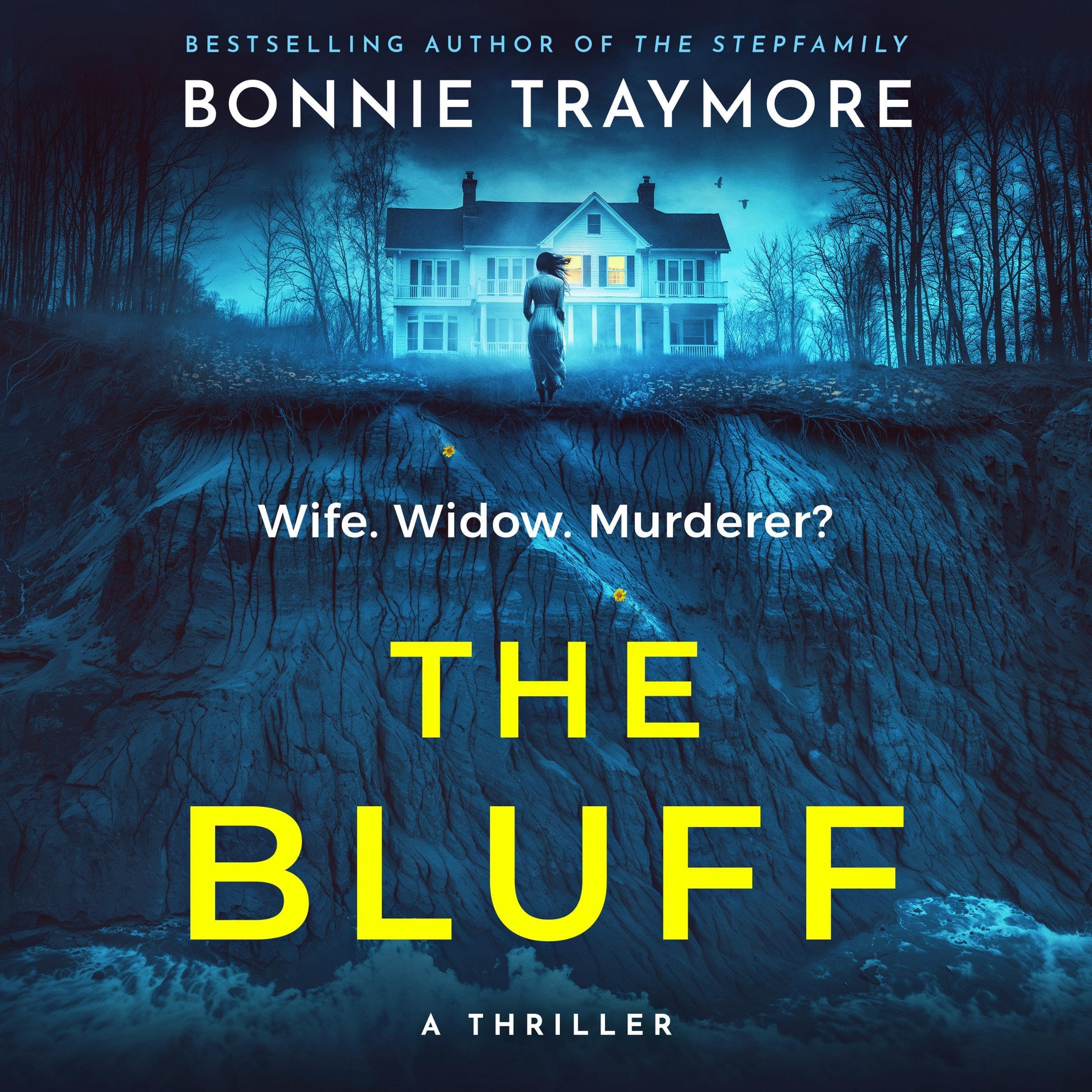 Cover art for The Bluff