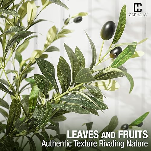 Miniatura 4 de CAPHAUS 6 pies, 72 pulgadas, olivo artificial, planta sintética en maceta, rama de olivo sintético y fruta, árbol topiario falso en maceta con musgo
