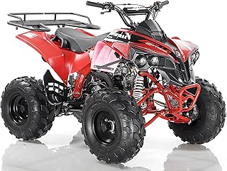 CRT Sportrax 125 cc ( Apollo ATV )-Red - coolthings.us