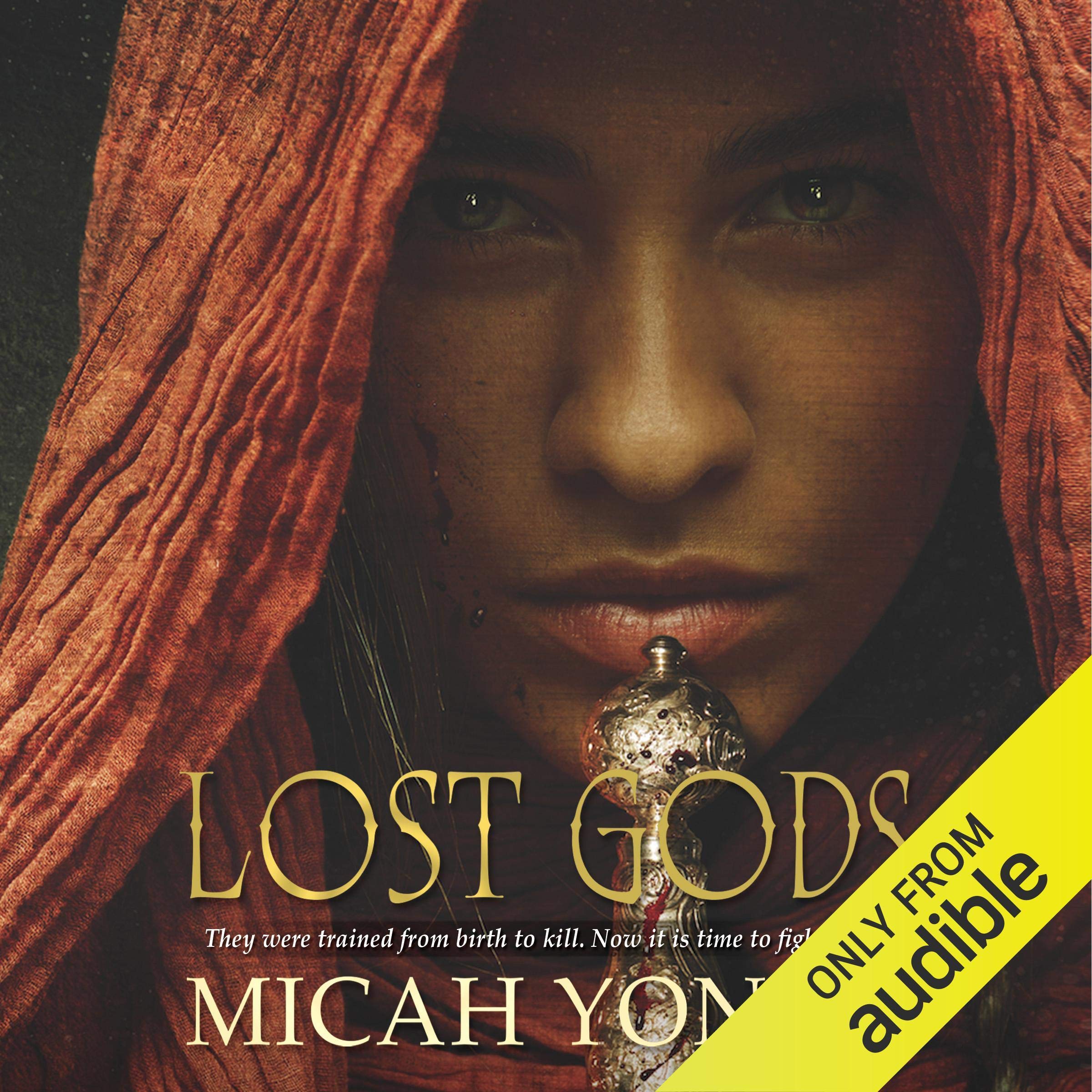 Cover art for Lost Gods