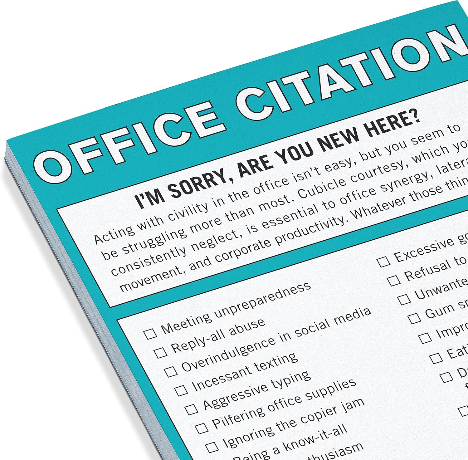 Knock Knock Office Citation Nifty Note, Checklist Memo Pad, 4 x 5.25-inches