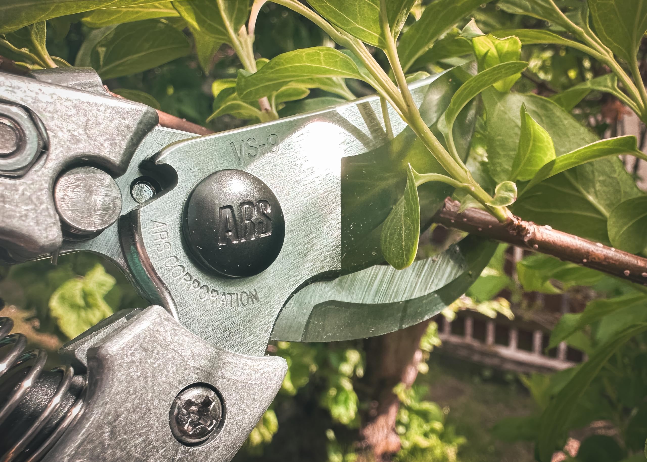 ARS tijeras profesionales para poda Vs-9 X Z