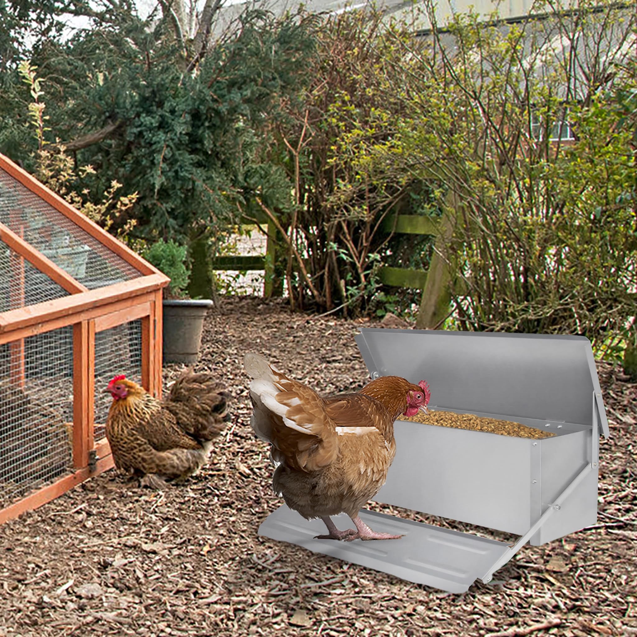 UISEBRT Mangiatoia automatica per polli da 10 kg, in acciaio zincato, alimentazione per pollo, pollo, anatre, bacini