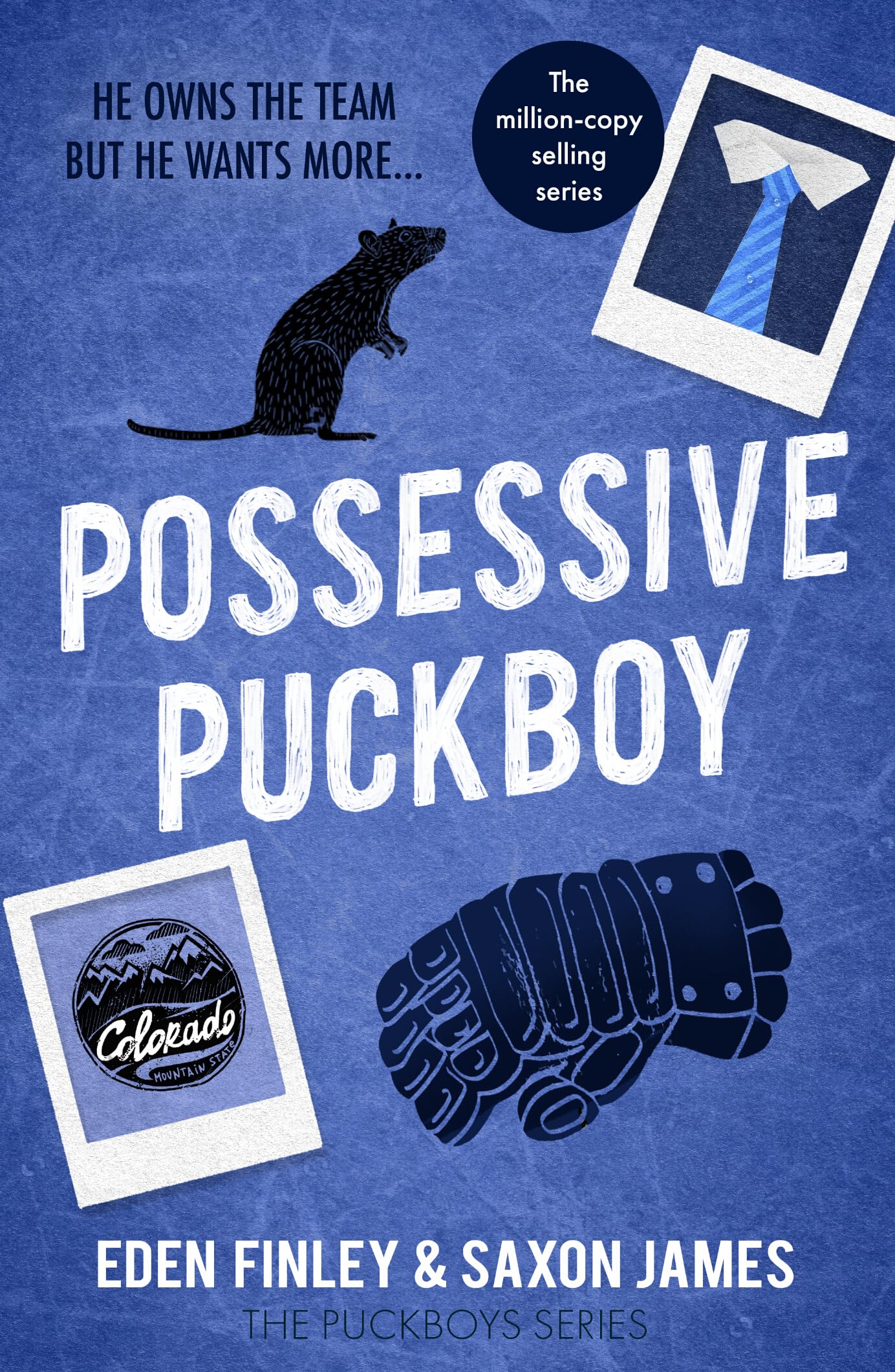 Possessive Puckboy: A forbidden bully ice hockey romance (Puckboys, 8)