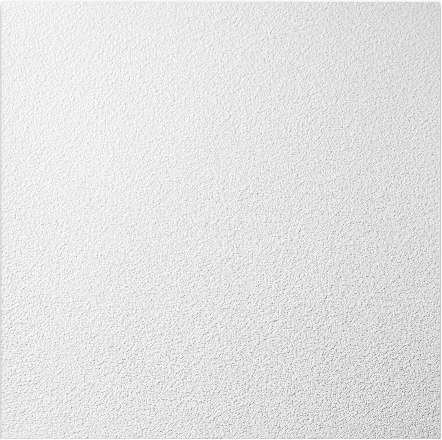 Genesis 2ft x 2ft White Stucco Pro Ceiling Tiles - Easy Drop-In Installation – Waterproof, Washable and Fire-rated - High-Grade PVC to Prevent Breakage (One Tile)