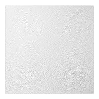 Algopix Similar Product 3 - Genesis 2ft x 2ft White Stucco Pro