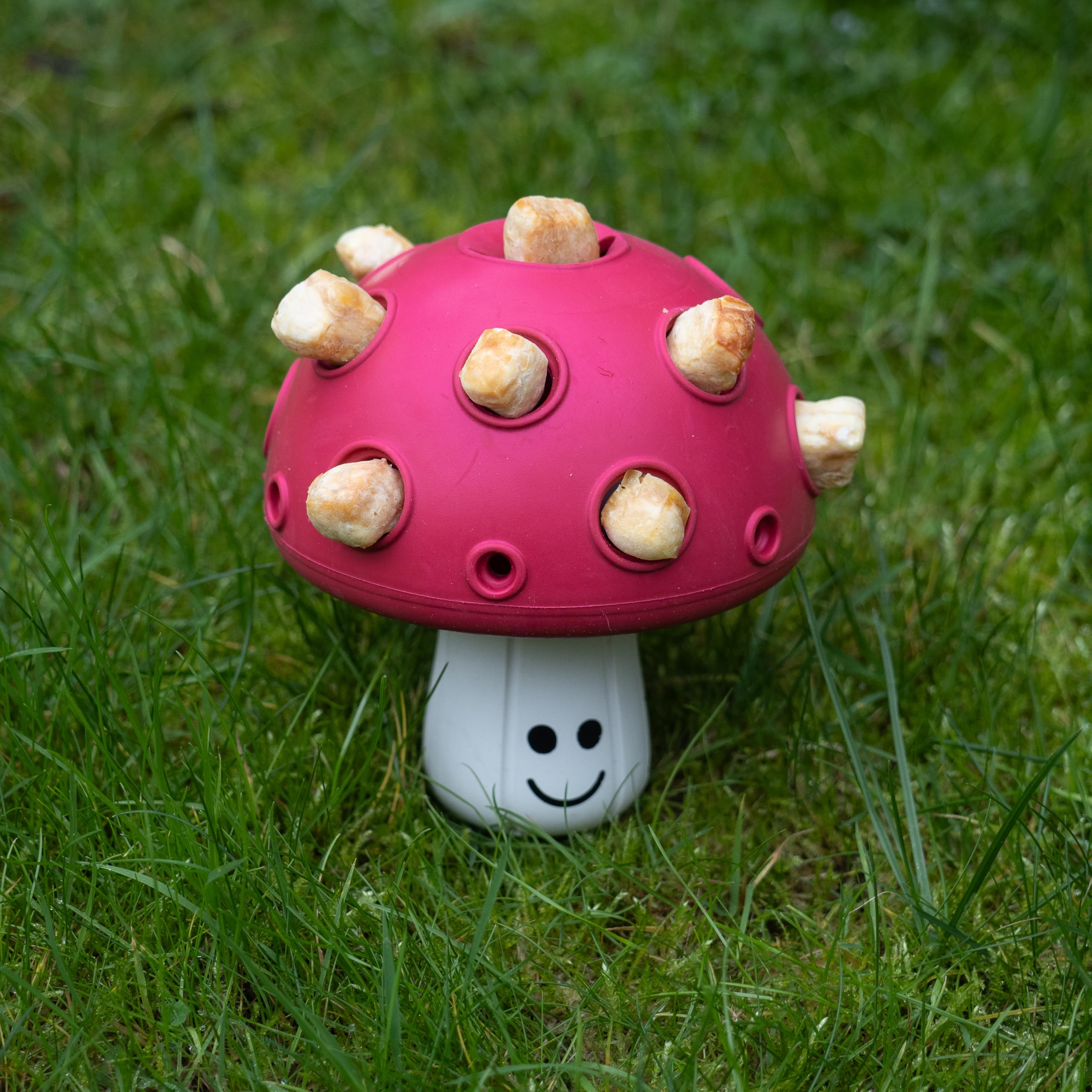 Fuzzl Eco Rubber Magic Shroom Treat Toy with Squeaker, Red - Image 2