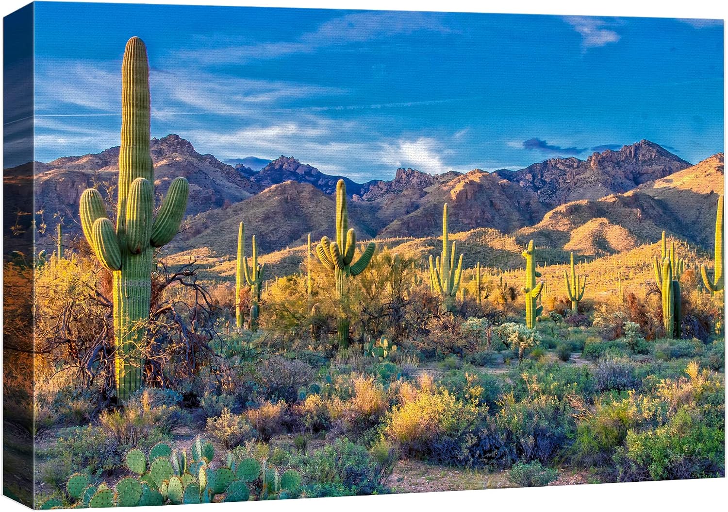 Amazon.com: IDEA4WALL Canvas Print Wall Art Southwest Saguaro Cactus ...