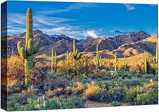 IDEA4WALL Canvas Print Wall Art Southwest Saguaro Cactus Succulent Desert Nature Wilderness Photography Modern Art Rustic Landscape Colorful Multicolor for Living Room, Bedroom, Office - 32x48