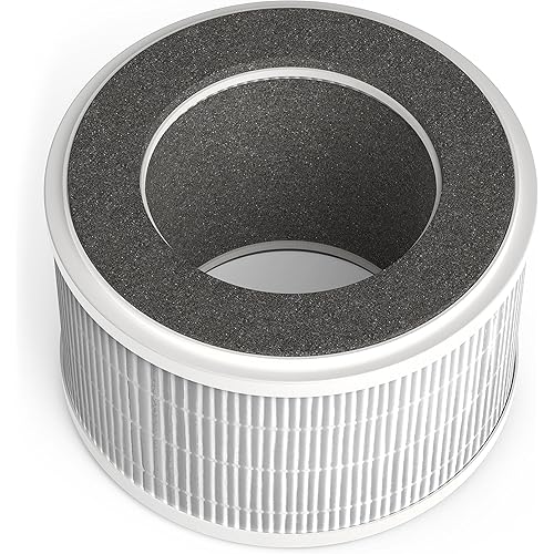 hOmeLabs HEPA Filter Replacement - Fits HME020020N hOmeLabs 4-in-1 Compact Ionic HEPA Air Purifier