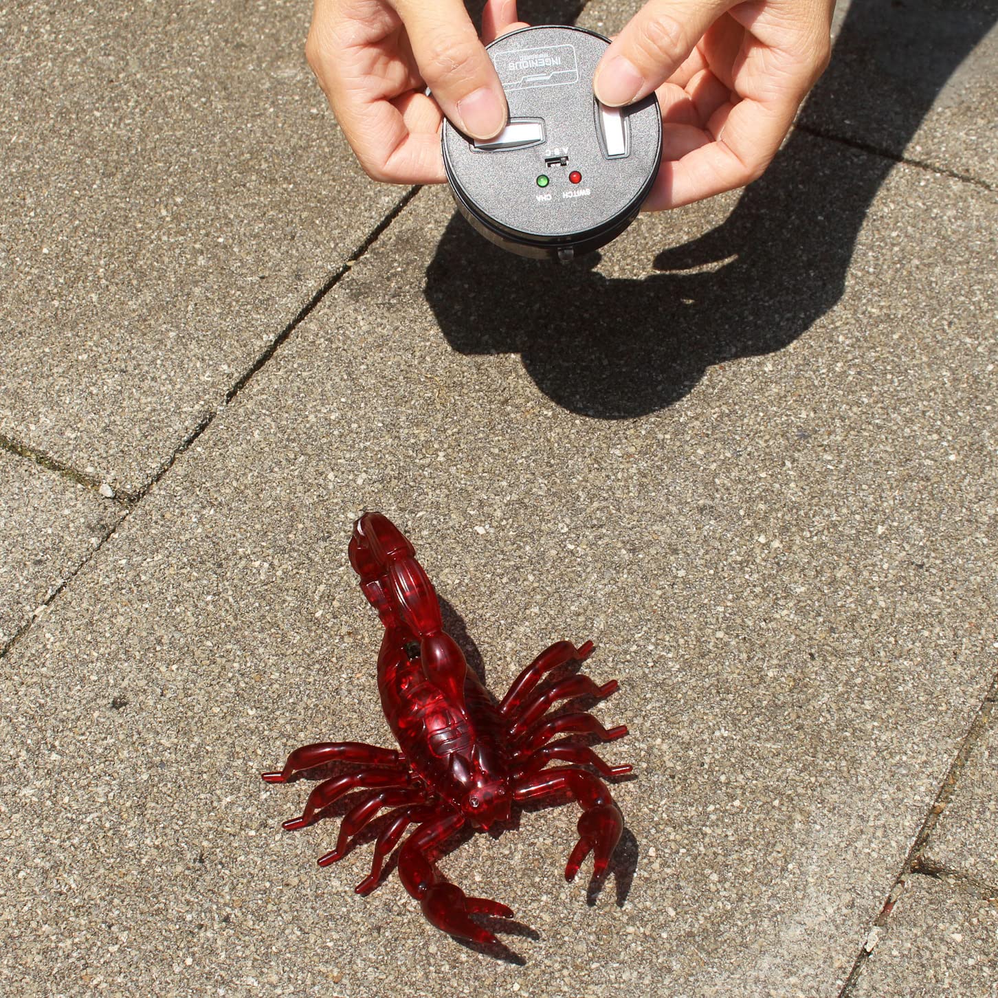 Scorpione radiocomandato realistico con telecomando a forma di animale, elettronico, giocattolo spaventoso per Halloween, regalo di compleanno per bambini (rosso)