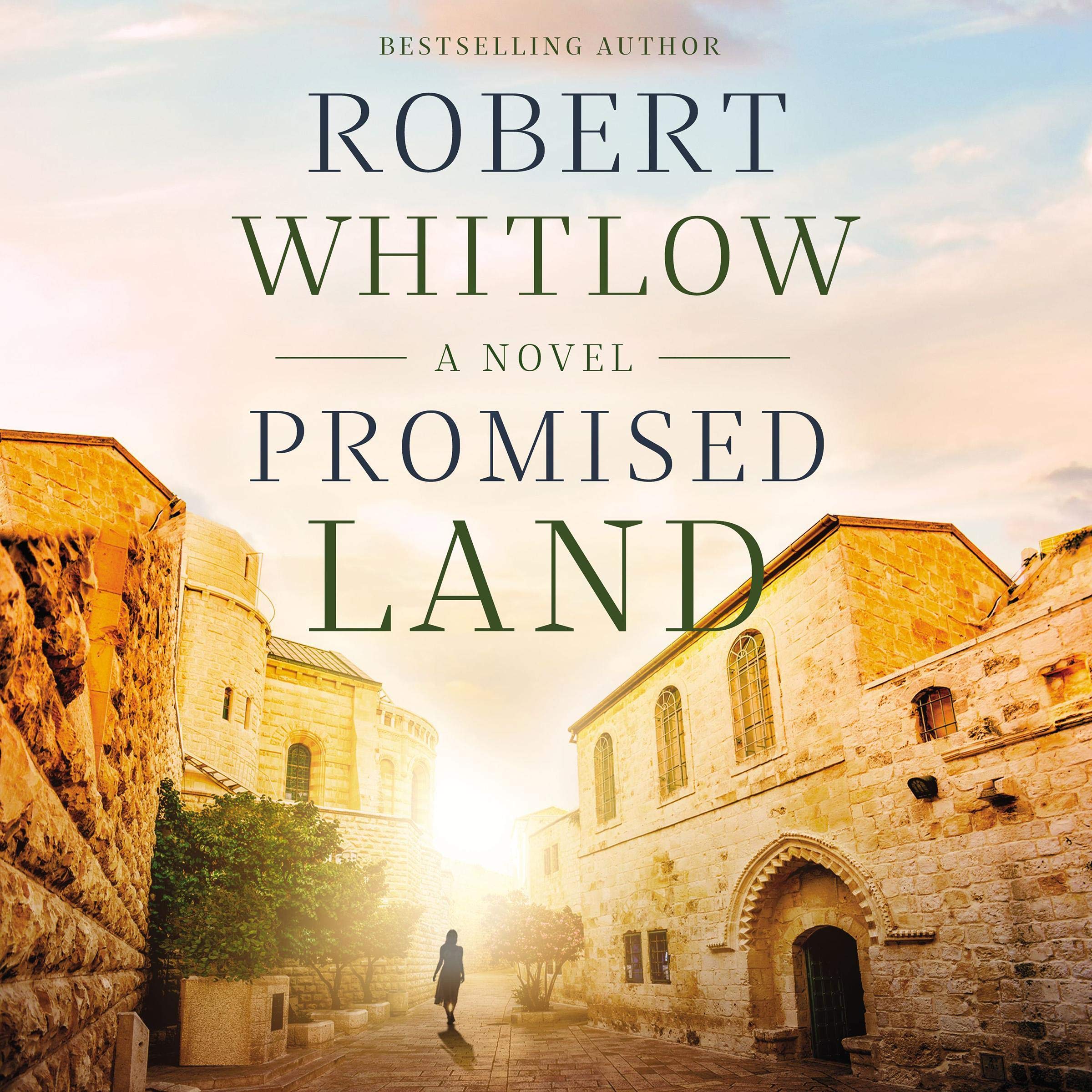 Cover art for Promised Land