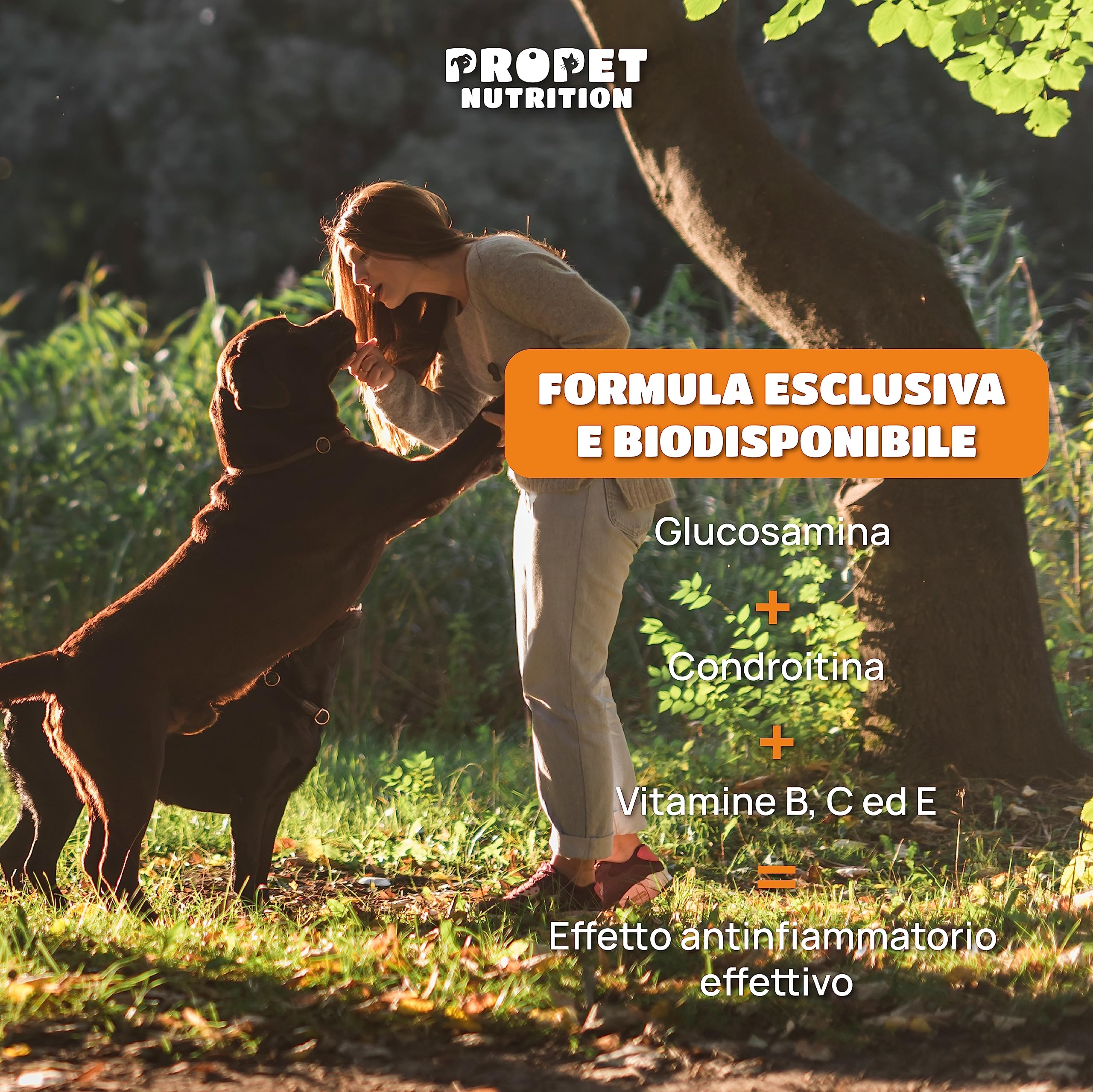 Integratore Articolazioni Cane e Gatto. 180 Compresse. Glucosamina e Condroitina, Collagene, 10 Vitamine per Cani e Gatti. Alta Concentrazione. Antifiammatorio. Supporta la Mobilità. Joint Care Cani