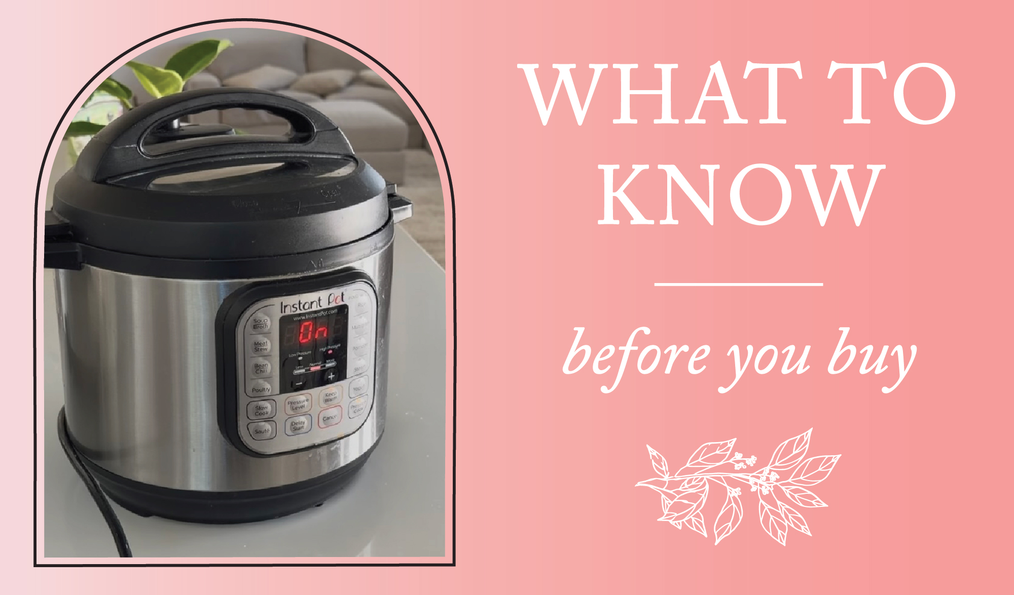 Watch INSTANT POT NEW.mp4 on Amazon Live