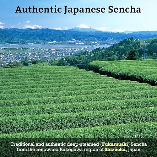 Miniatura 5 de SUGIMOTO TEA Té verde tostado japonés Hojicha Hoja suelta 2.0 oz (57 g) Paquete de 3