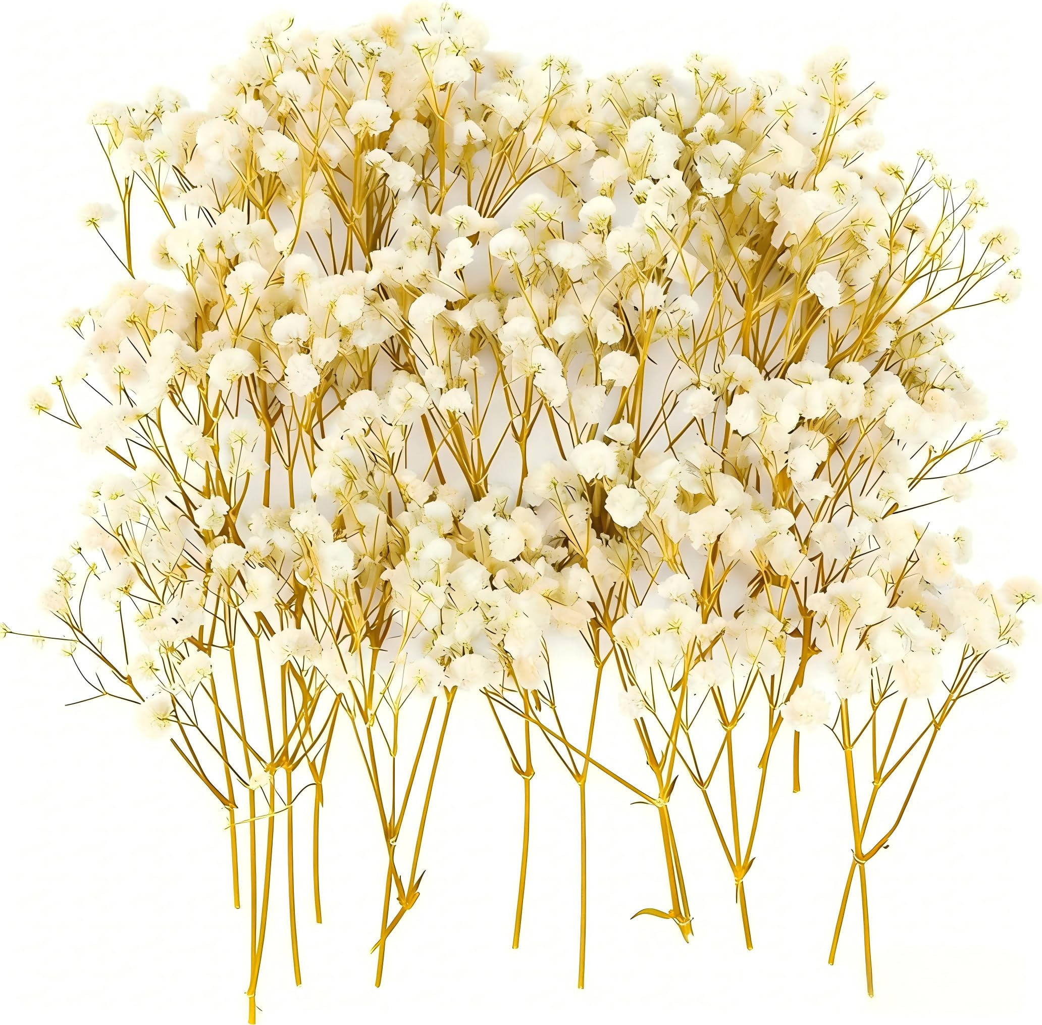 50pcs Natural Dried Gypsophila Flowers - White Baby Breath for Crafts, Home Decor, Resin Art - Sturdy Box Packaging Prevents Damage