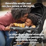 Graco Modes Trio Travel System | Riordan (Black) | 3-in-1 Baby Stroller and Car Seat Combo | Rear-Facing from 1.8-16 kg (4-35 lb)