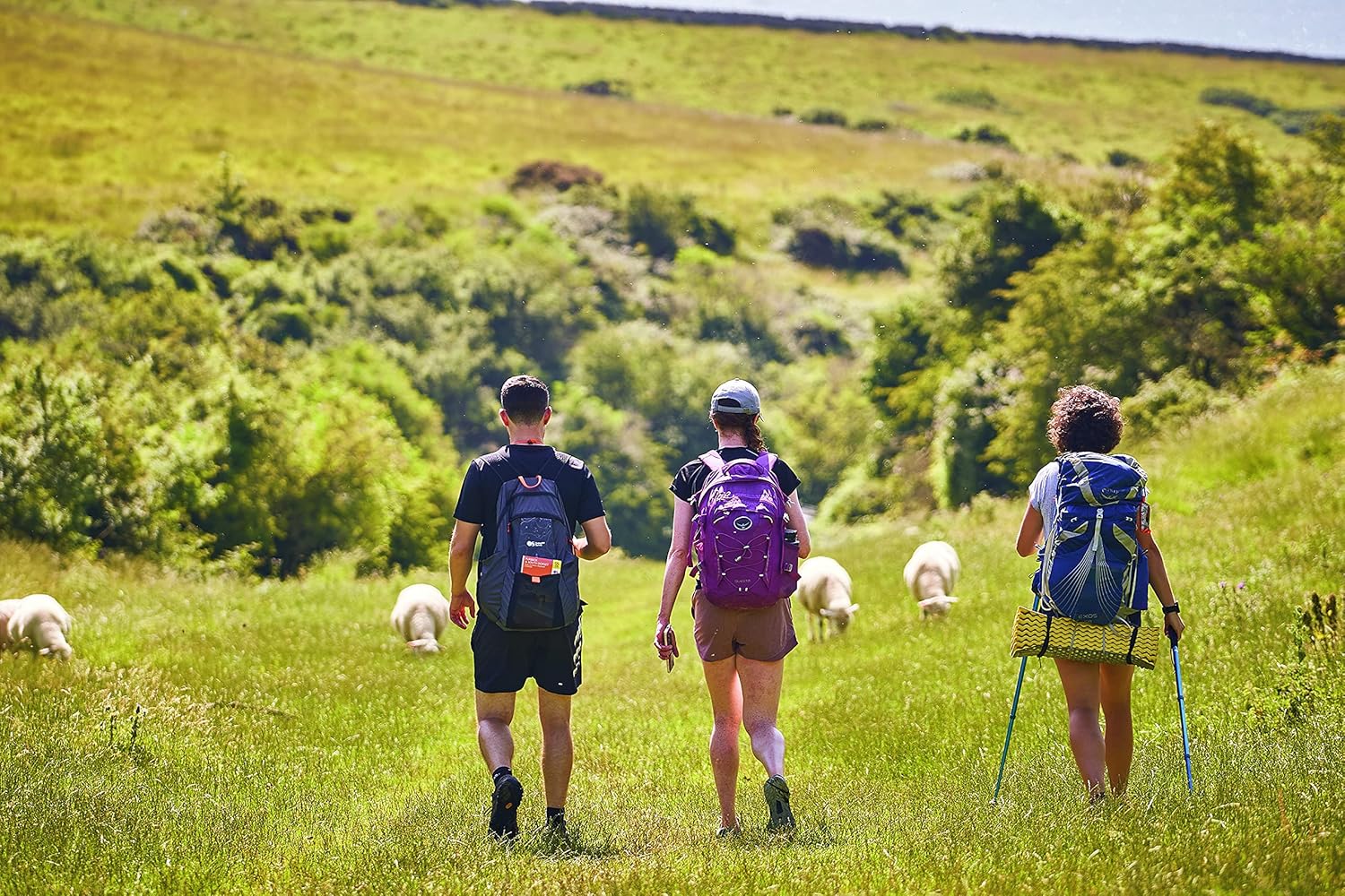 Church Stretton & Ludlow/Llwydlo Map | Wenlock Edge | Ordnance Survey | OS Landranger Map 137 | England | Walks | Cycling | Days Out | Maps | Adventure 8 91Ve8OsuDIL. SL1500