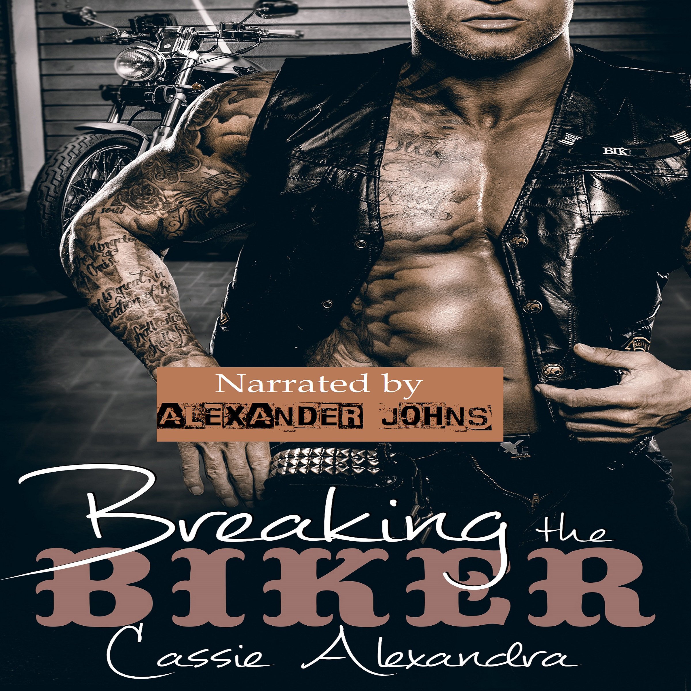 Cover art for Breaking the Biker