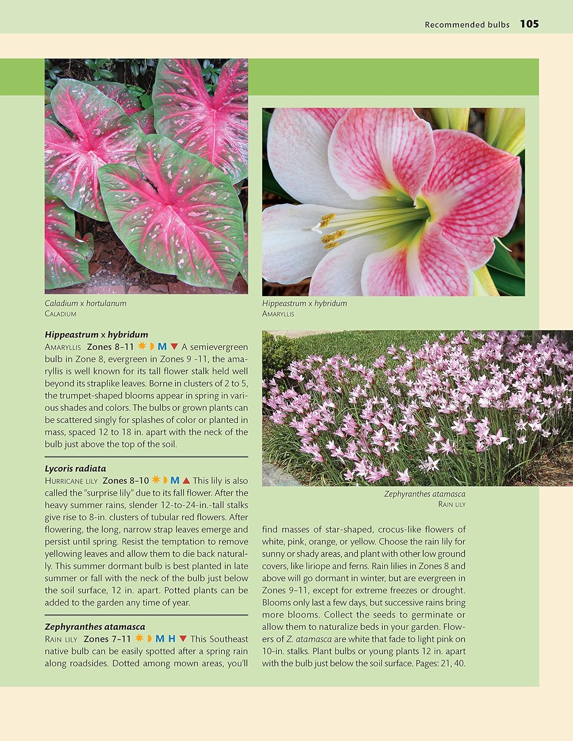 Southern Coastal Home Landscaping, Second Edition: 38 Landscape Designs with 160+ Plants & Flowers for Your Region (Creative Homeowner) For the U.S. Coasts of AL, GA, FL, LA, MS, SC, and TX