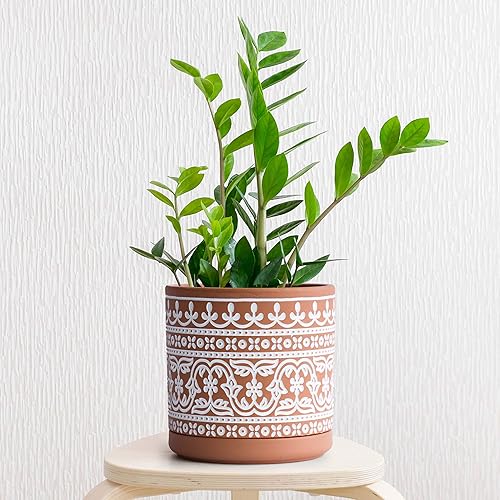 Miniatura 6 de D'vine Dev Juego de 2 macetas de terracota, maceta con patrón de ondas, 4 y 6 pulgadas, maceta con orificio de drenaje y platillo, terracotablanco,
