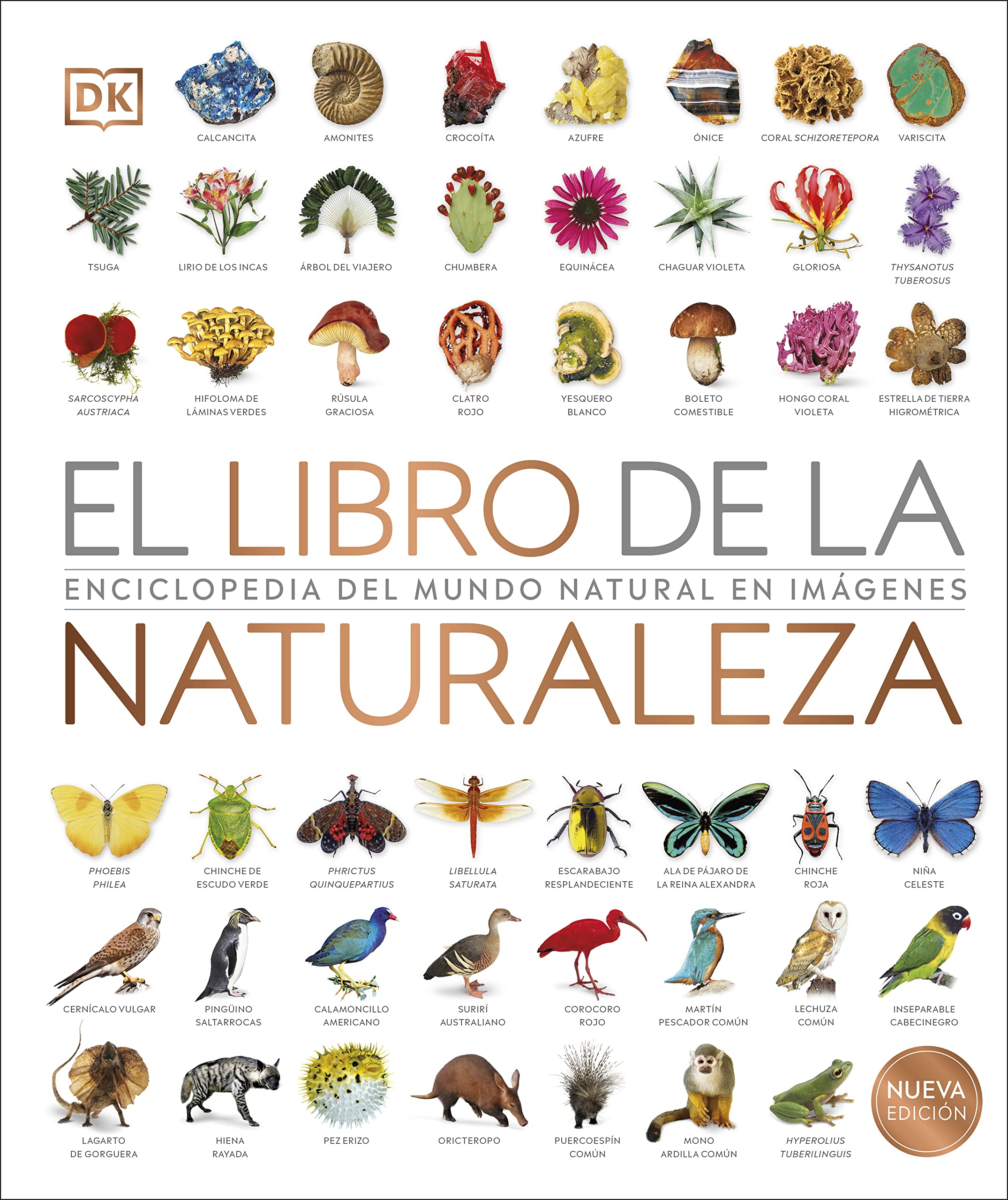 El libro de la naturaleza Nueva edición: Enciclopedia del mundo natural en imágenes (Enciclopedia visual)