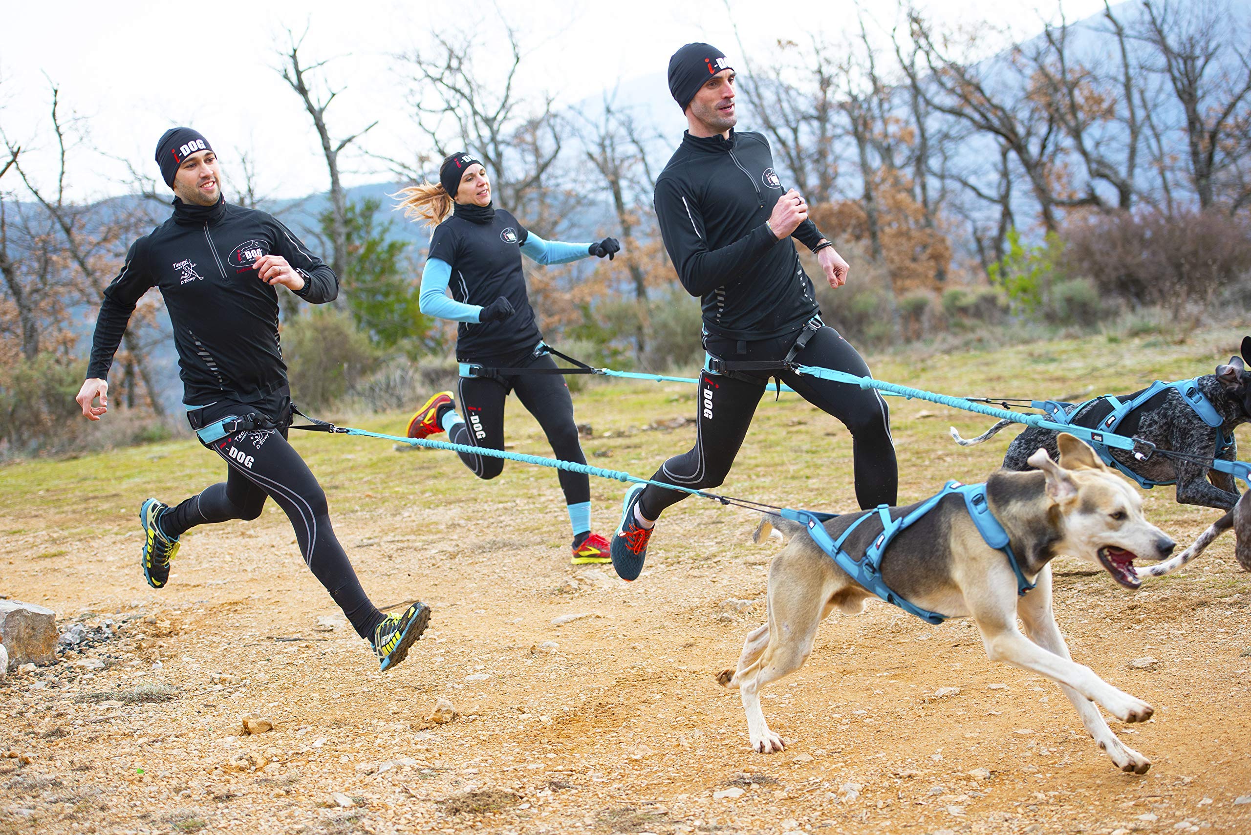 Baudrier Canyon Gamme ALM Bleu cani Cross, cani Rando, cani Jogging, cani Trail I-dog est Une Marque Française.