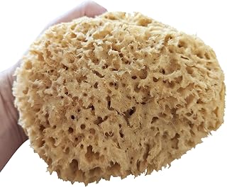 Natural Sea Sponge - Honeycomb. X Large. (6-6.5"/15-16cm) Luxuriously Soft Unbleached Bathing Sponge with Super high absorbancy for All Skin Types from Greece