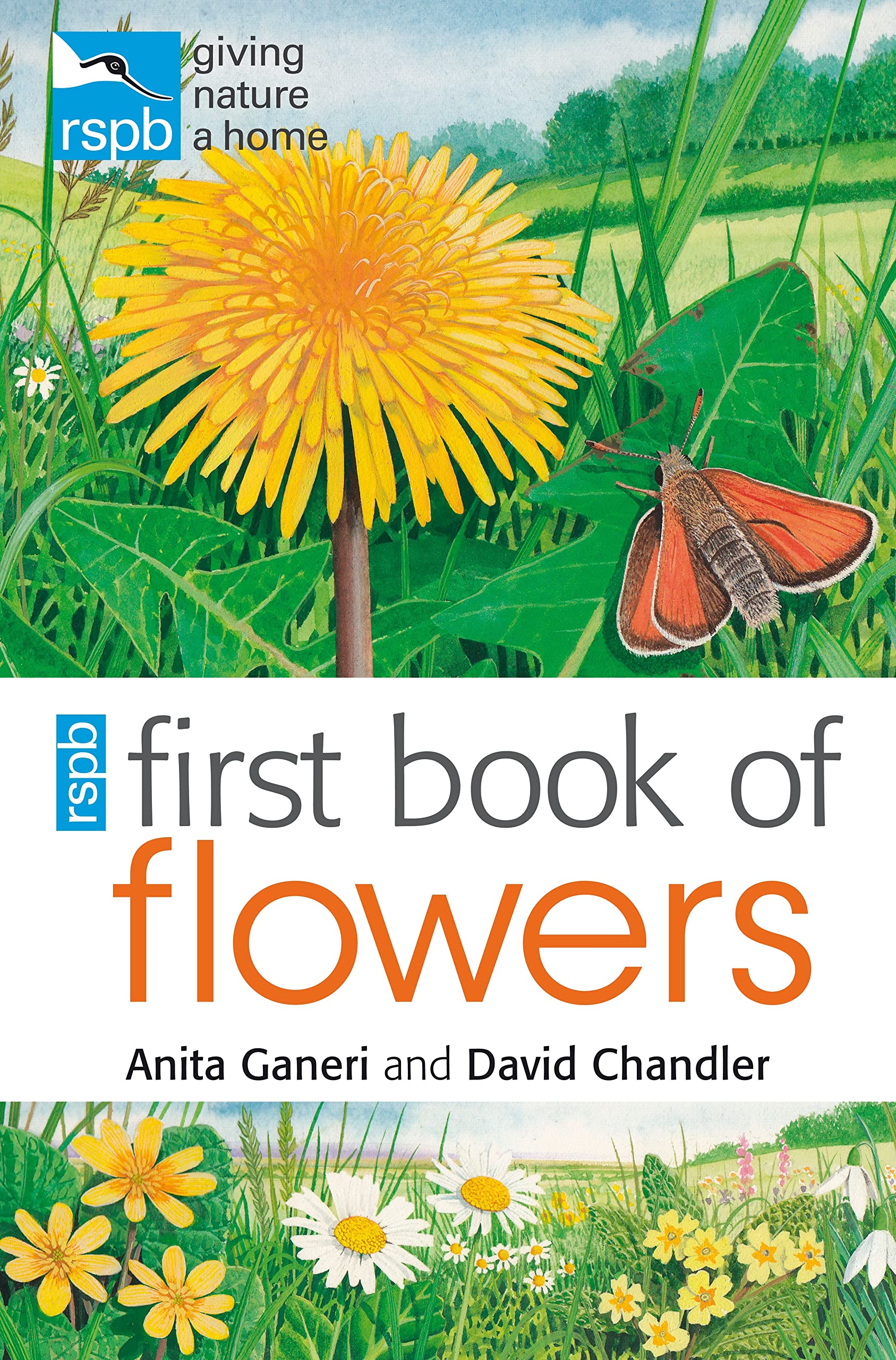 RSPB First Book of Flowers by David Chandler, Anita Ganeri (Paperback, 2011)