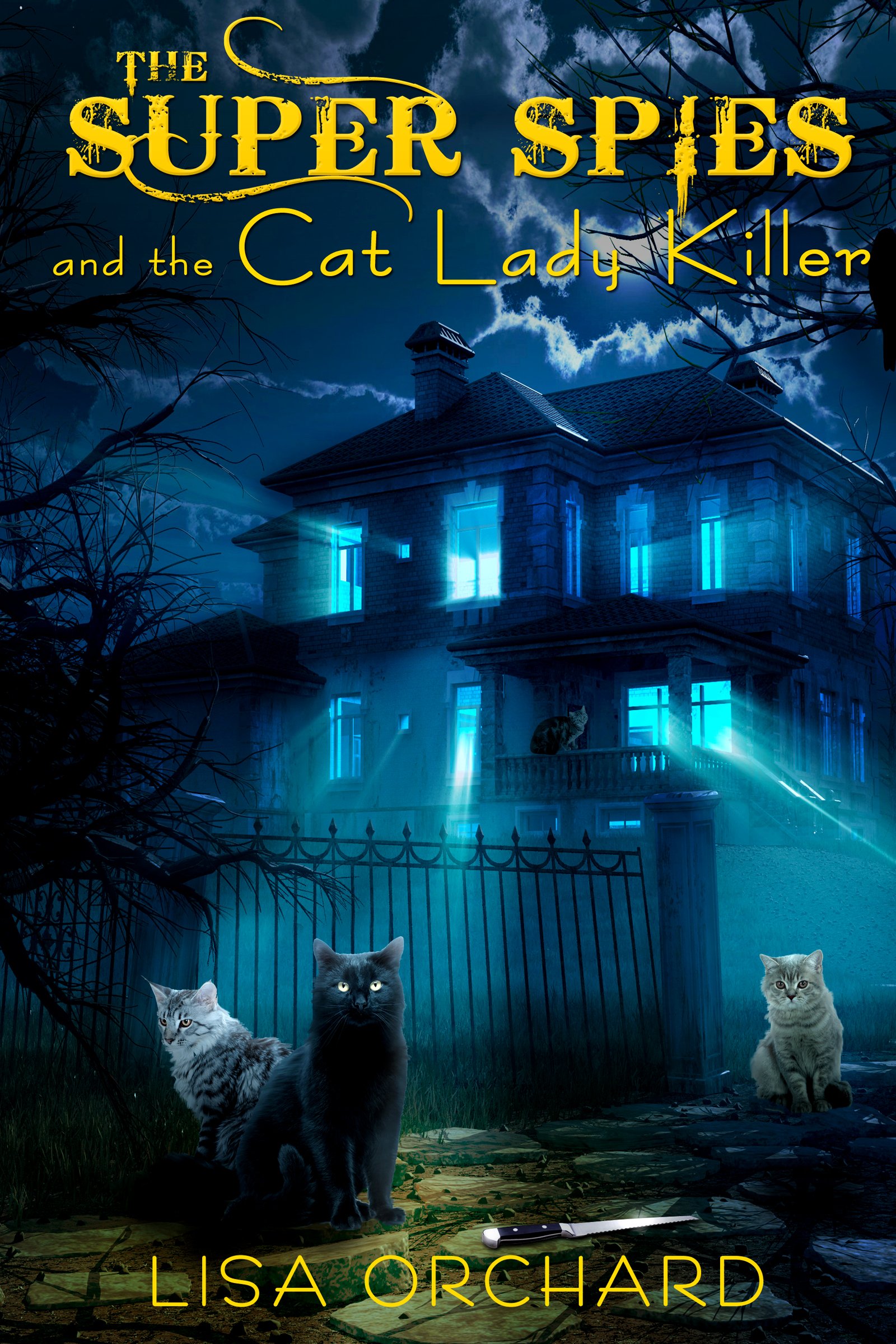 Buy The Super Spies and the Cat Lady Killer (A Super Spies Mystery Book 1) — BookShops.in