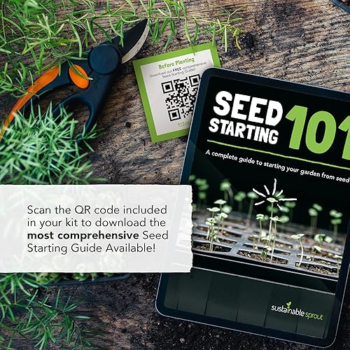 Miniatura 6 de Paquete variado de semillas de hierbas culinarias: 10 hierbas de especias, jardín hidropónico en interiores, plantación de albahaca, perejil,