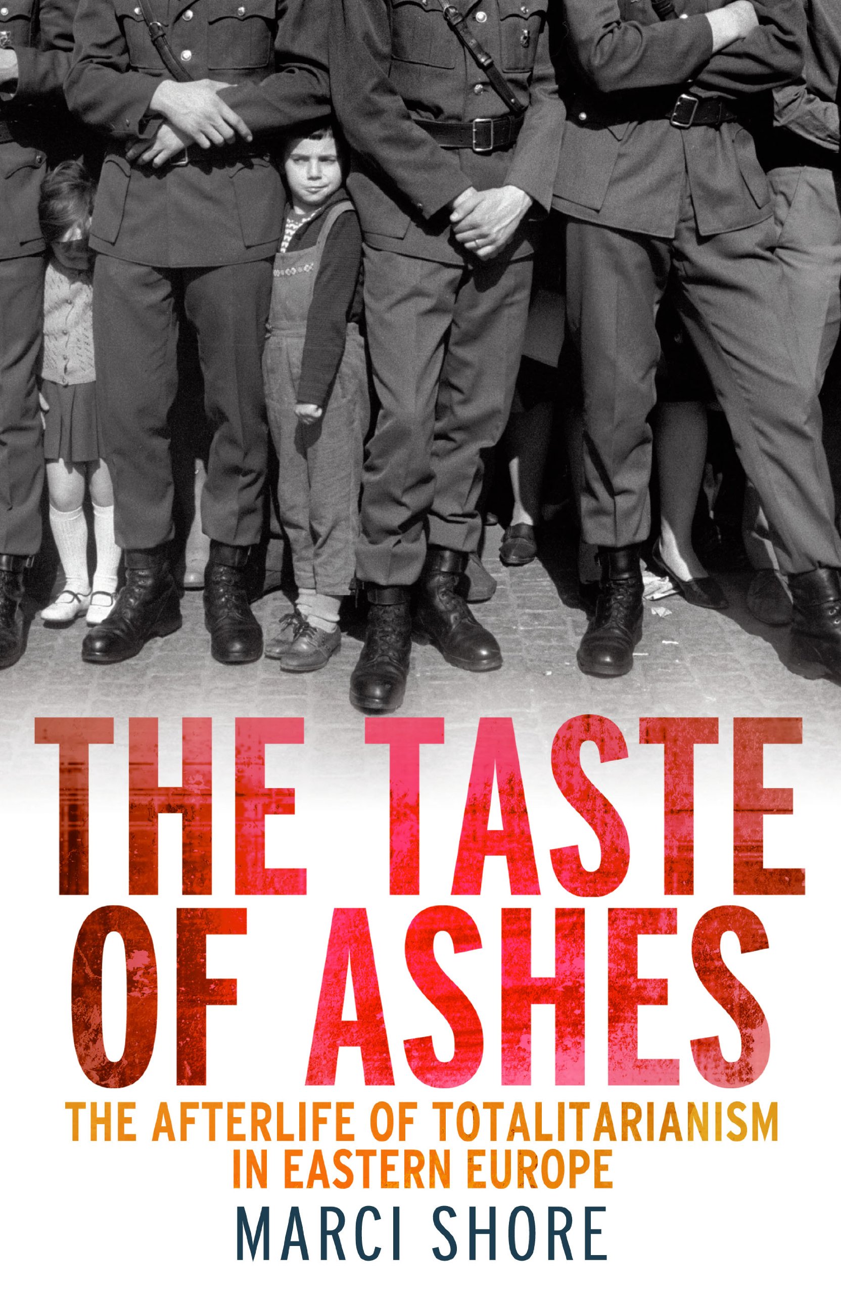 Buy The Taste of Ashes — BookShops.in