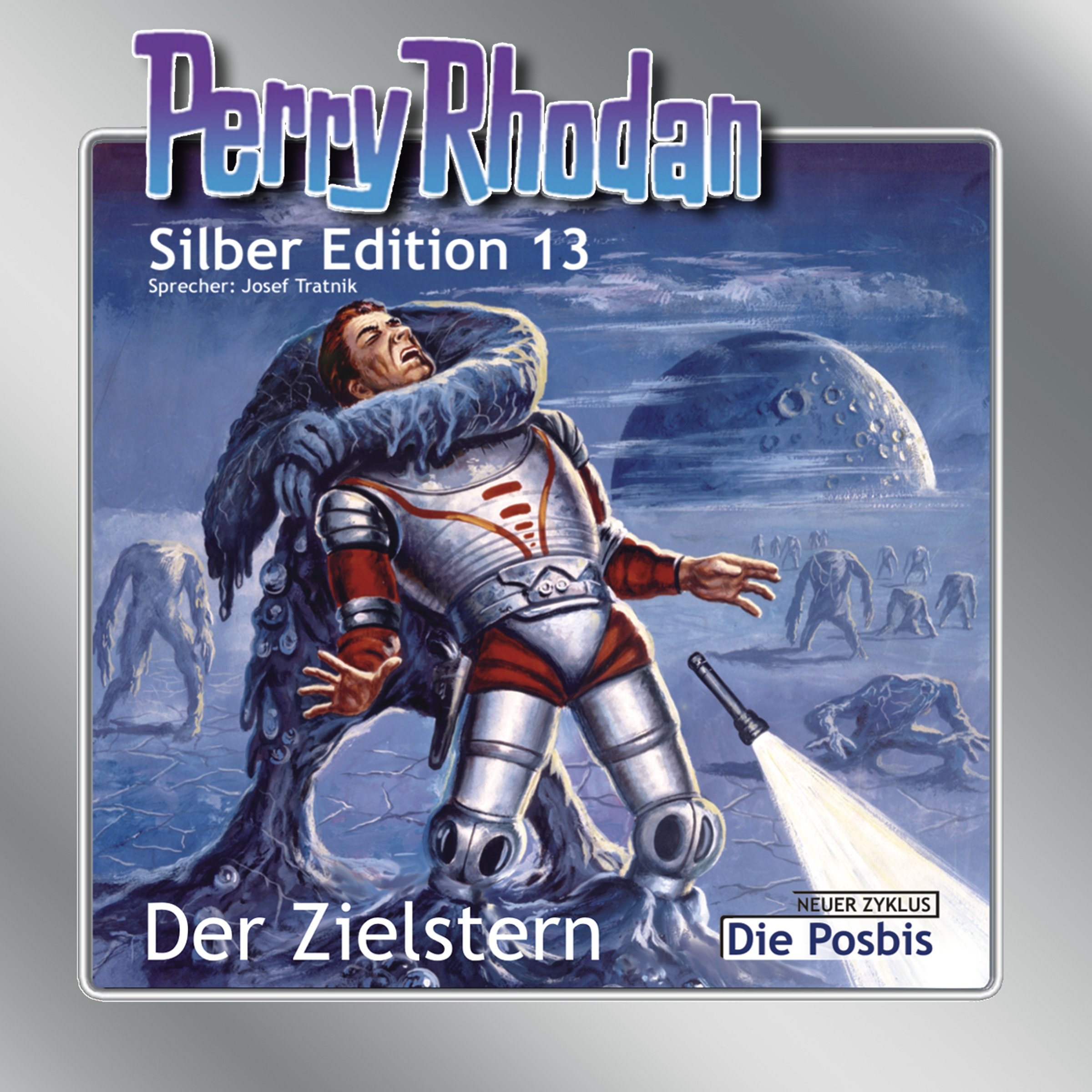 Cover art for Der Zielstern