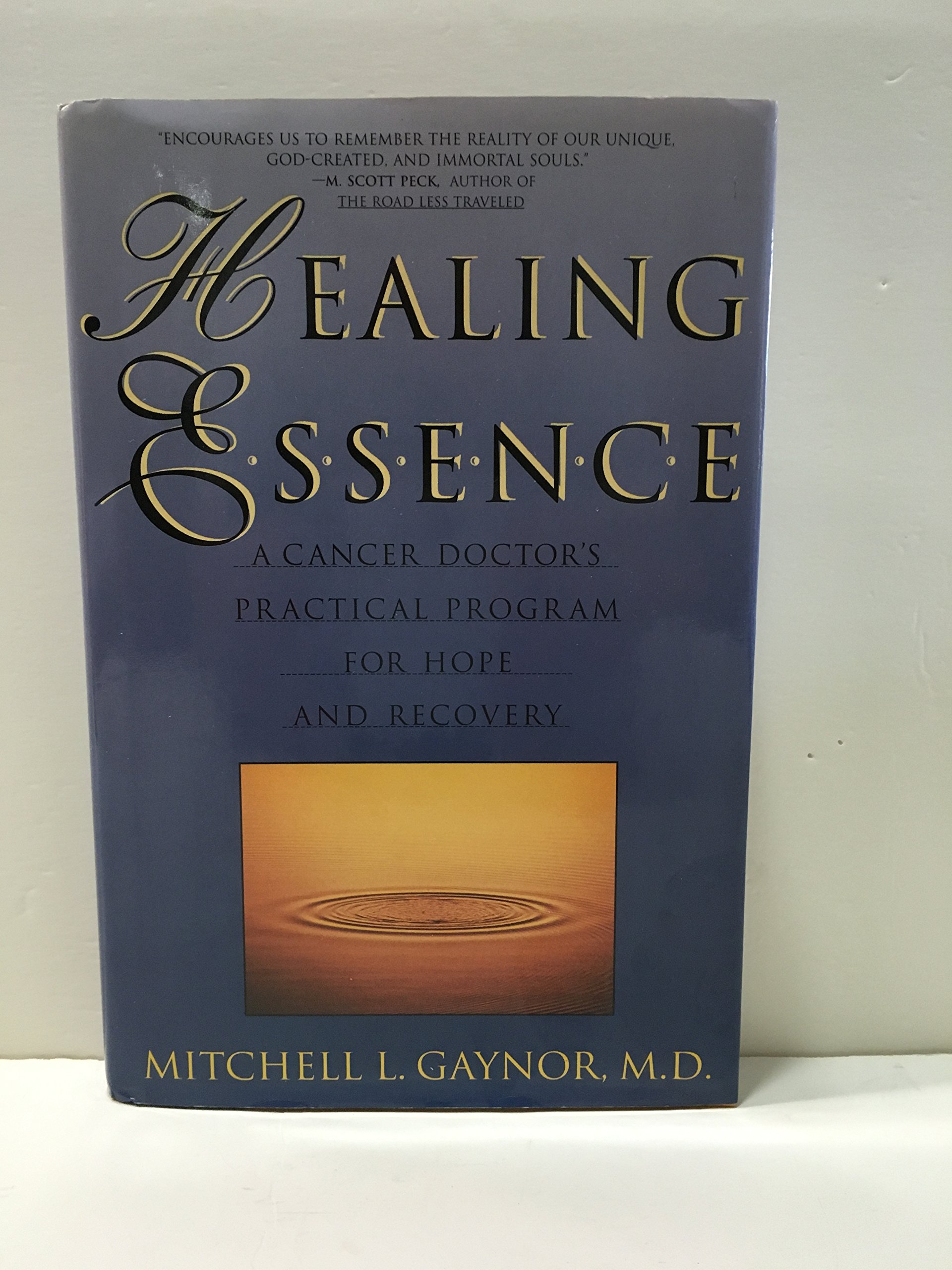 Healing Essence: A Doctor's Practical Program for Hope and Recovery