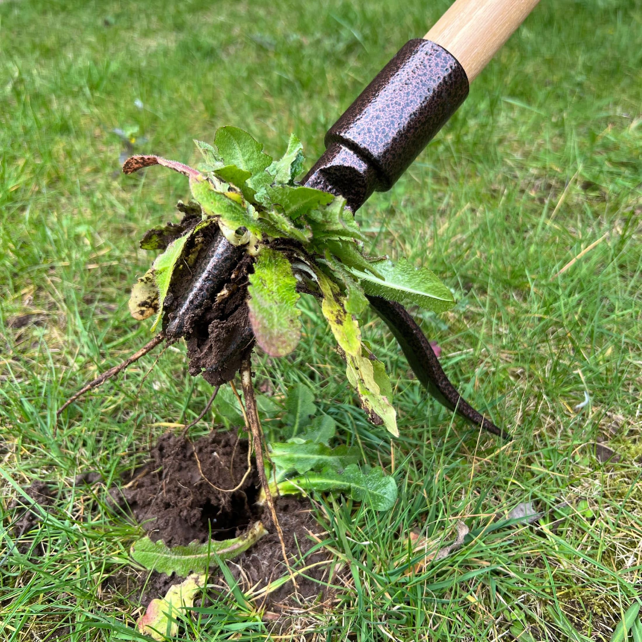 Spear & Jackson 4124NB Désherbeur Traditionnel – Manche Long Ergonomique (107 cm) – Outil de Désherbage Debout – Éliminez Les Mauvaises Herbes Facilement et Confortablement